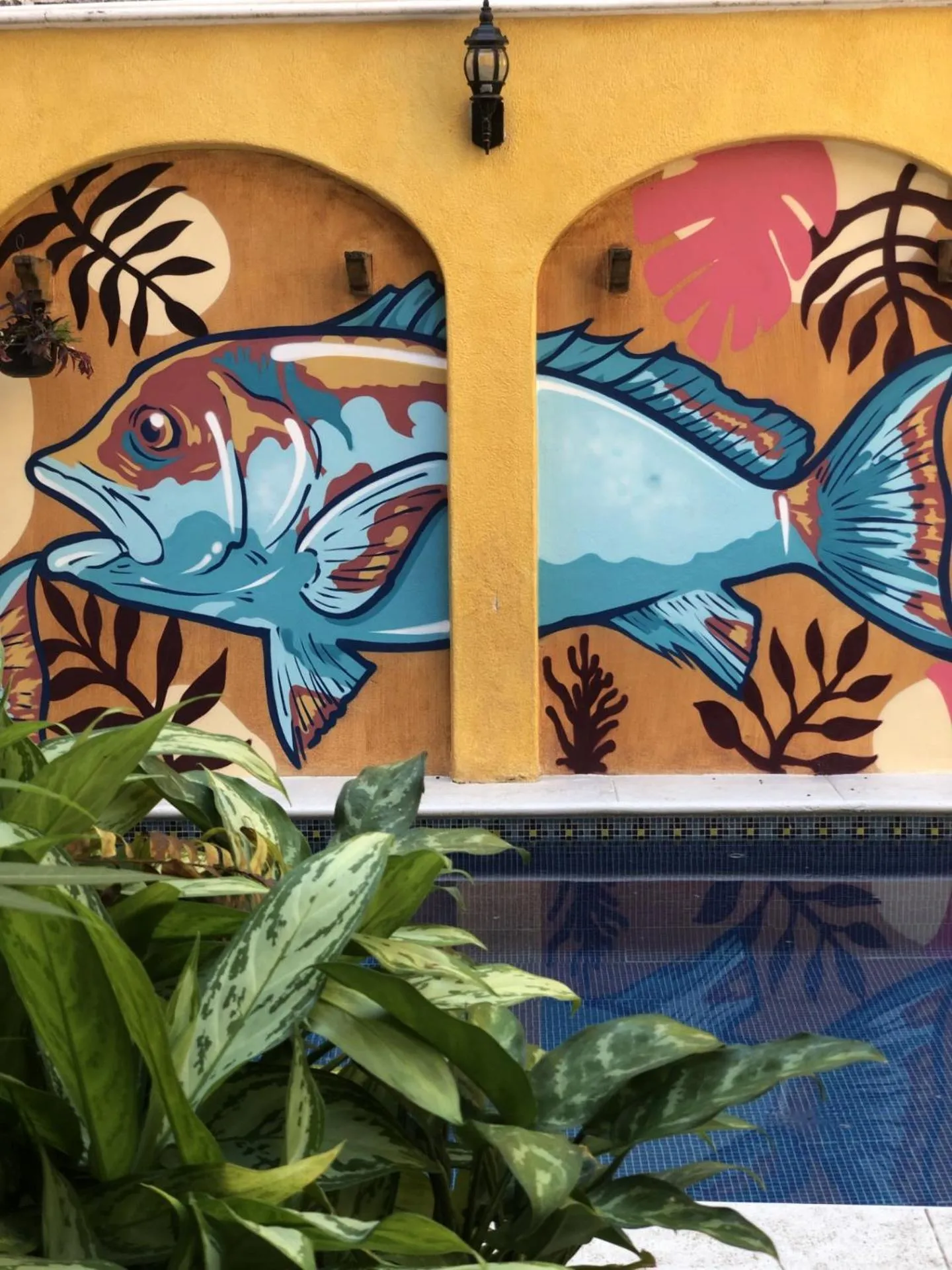 Swimming pool in Pargos Hotel & Cowork