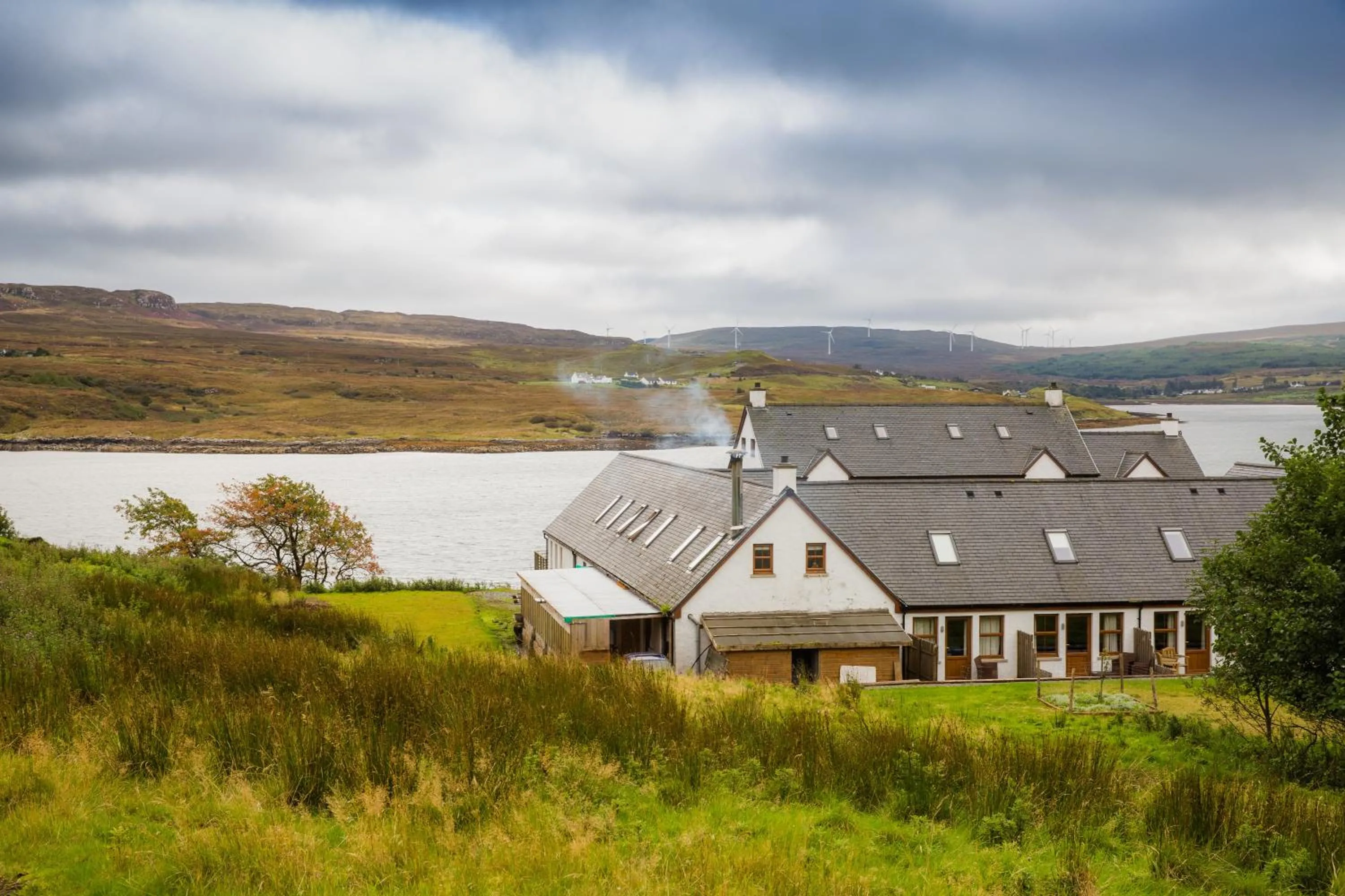 Natural landscape in Redwood House
