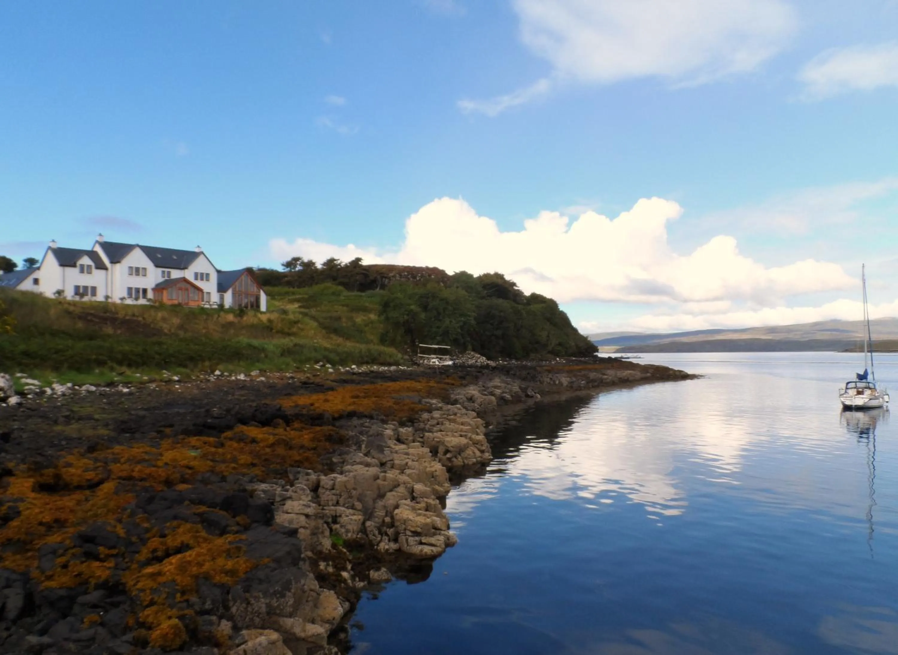 Natural landscape in Redwood House