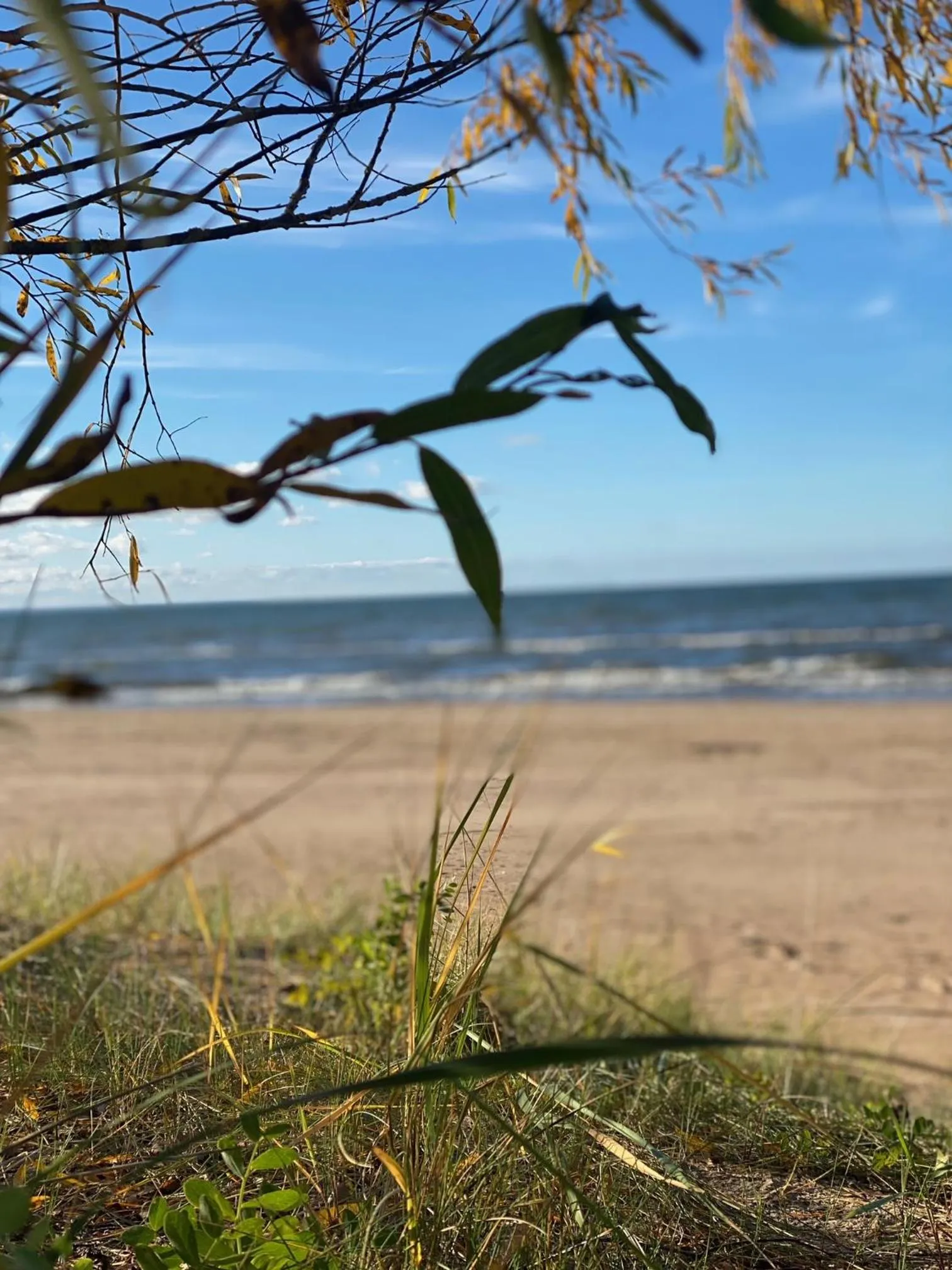 Sea view in Noorus SPA Hotel
