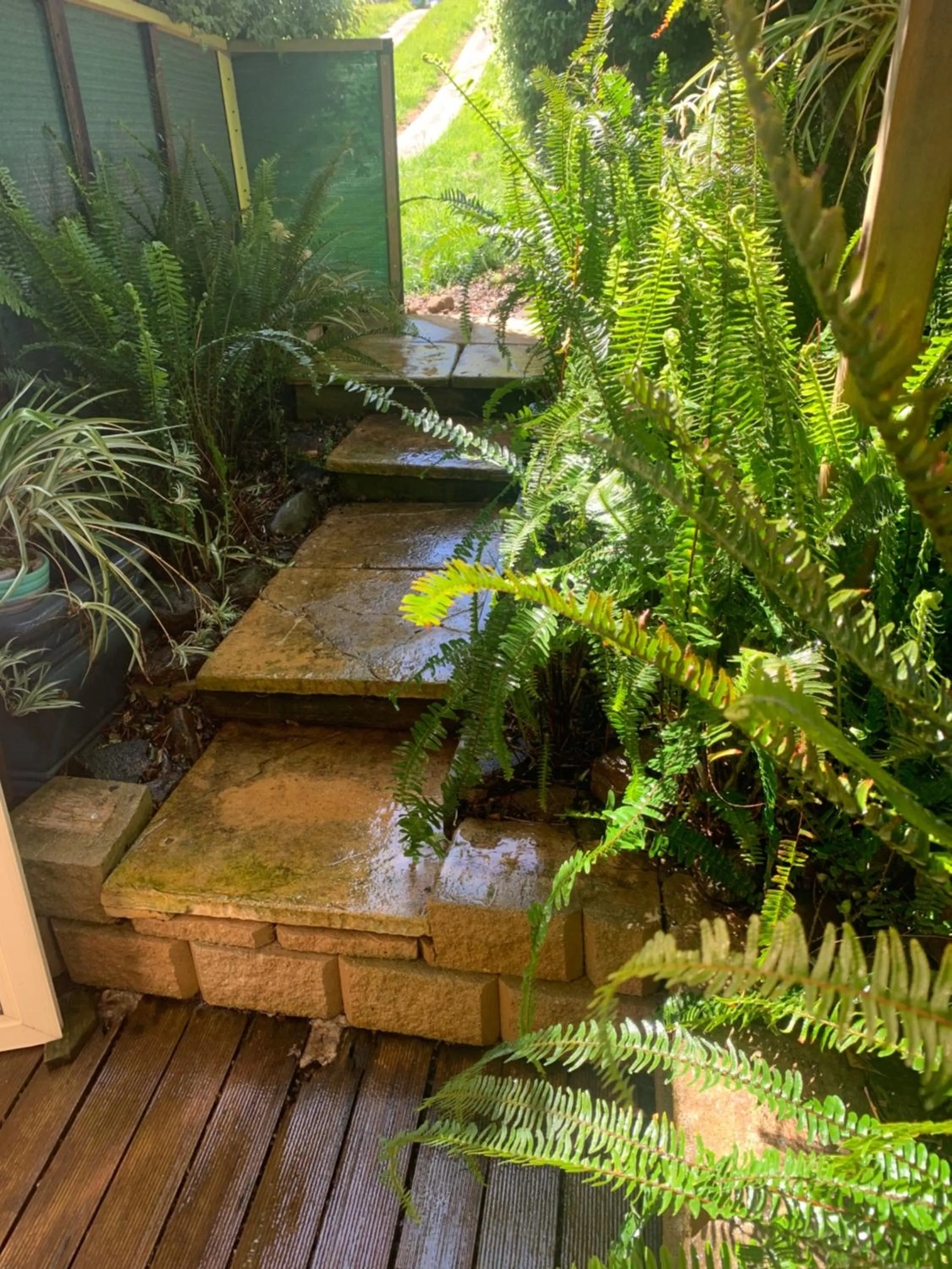 Garden in On The Terrace Stanley