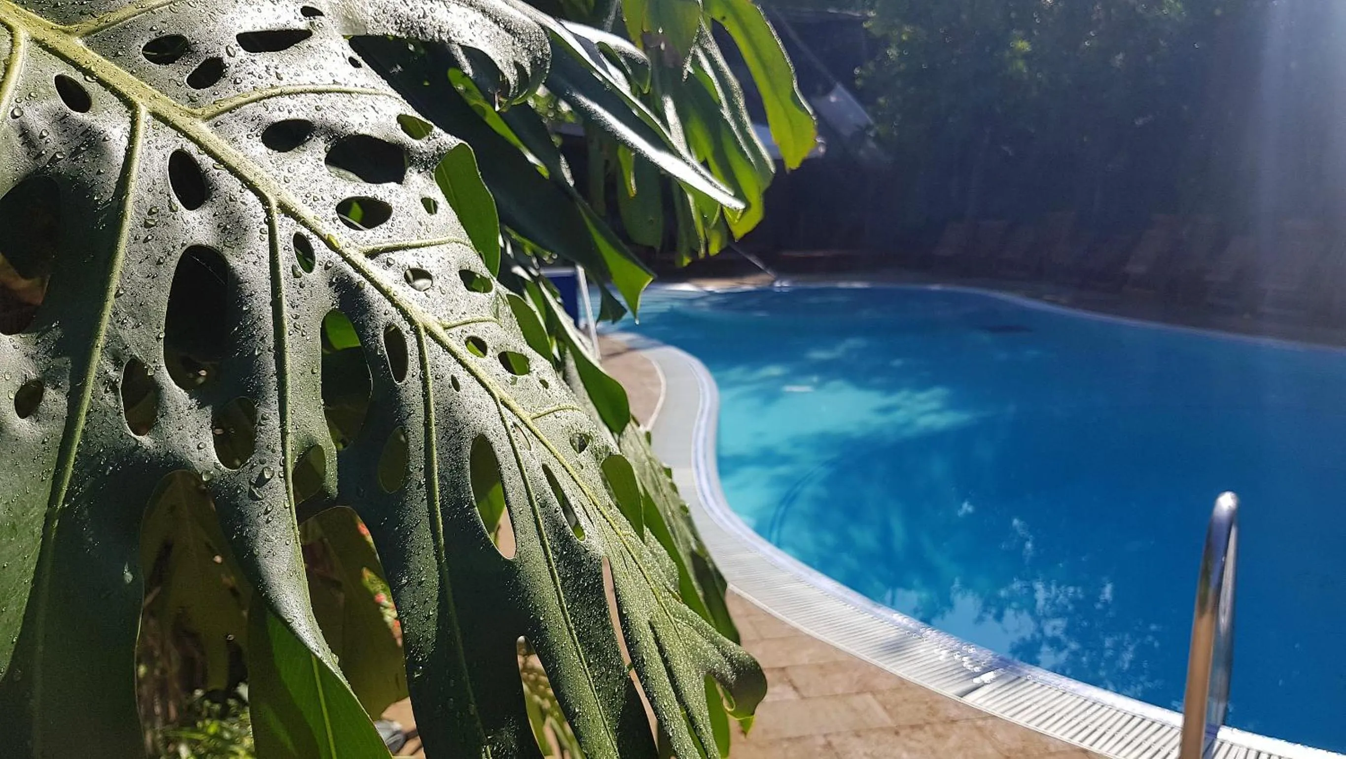 Swimming pool in Residence Villaggio Verde