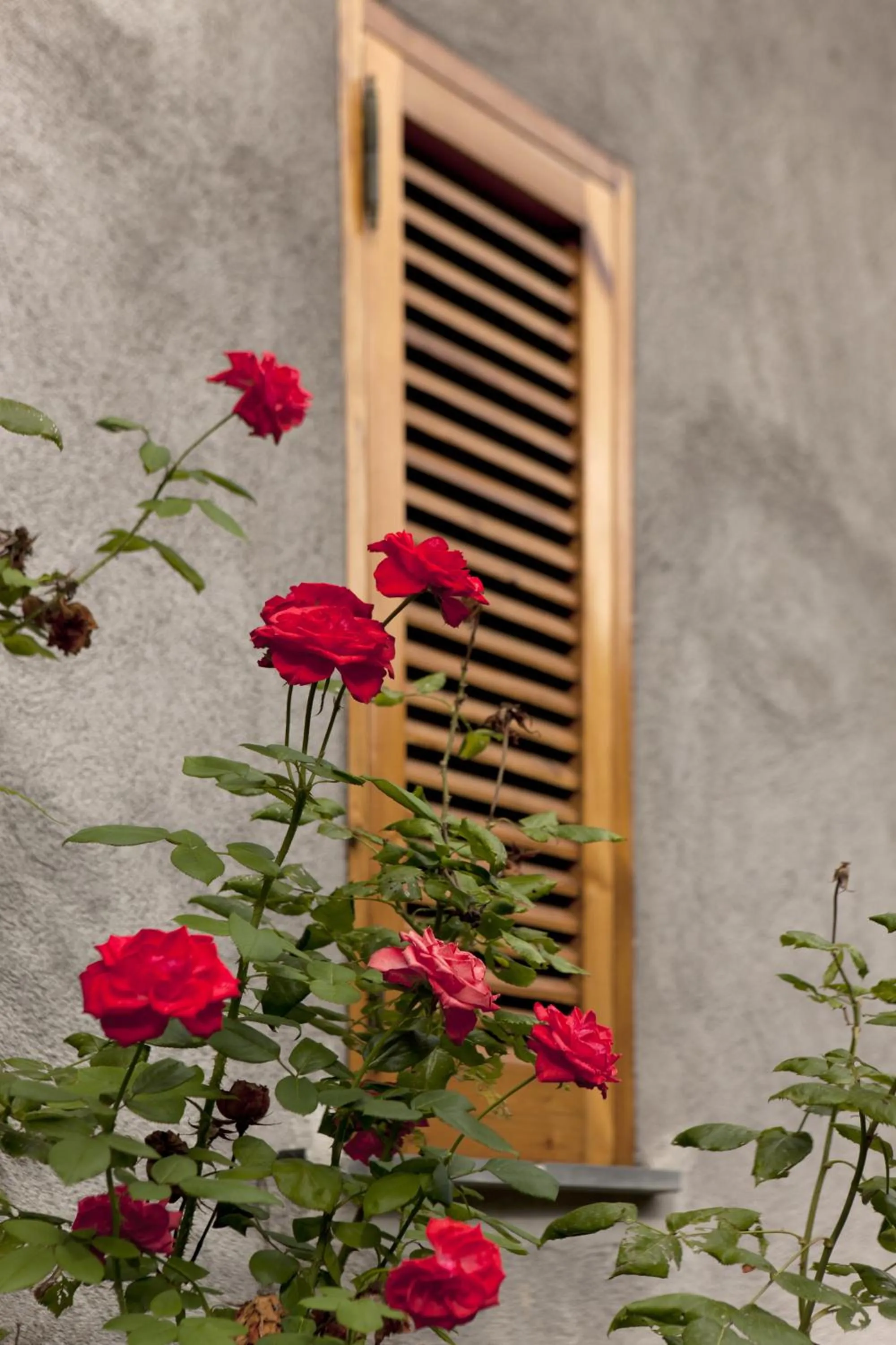 Garden in Residence Villaggio Verde