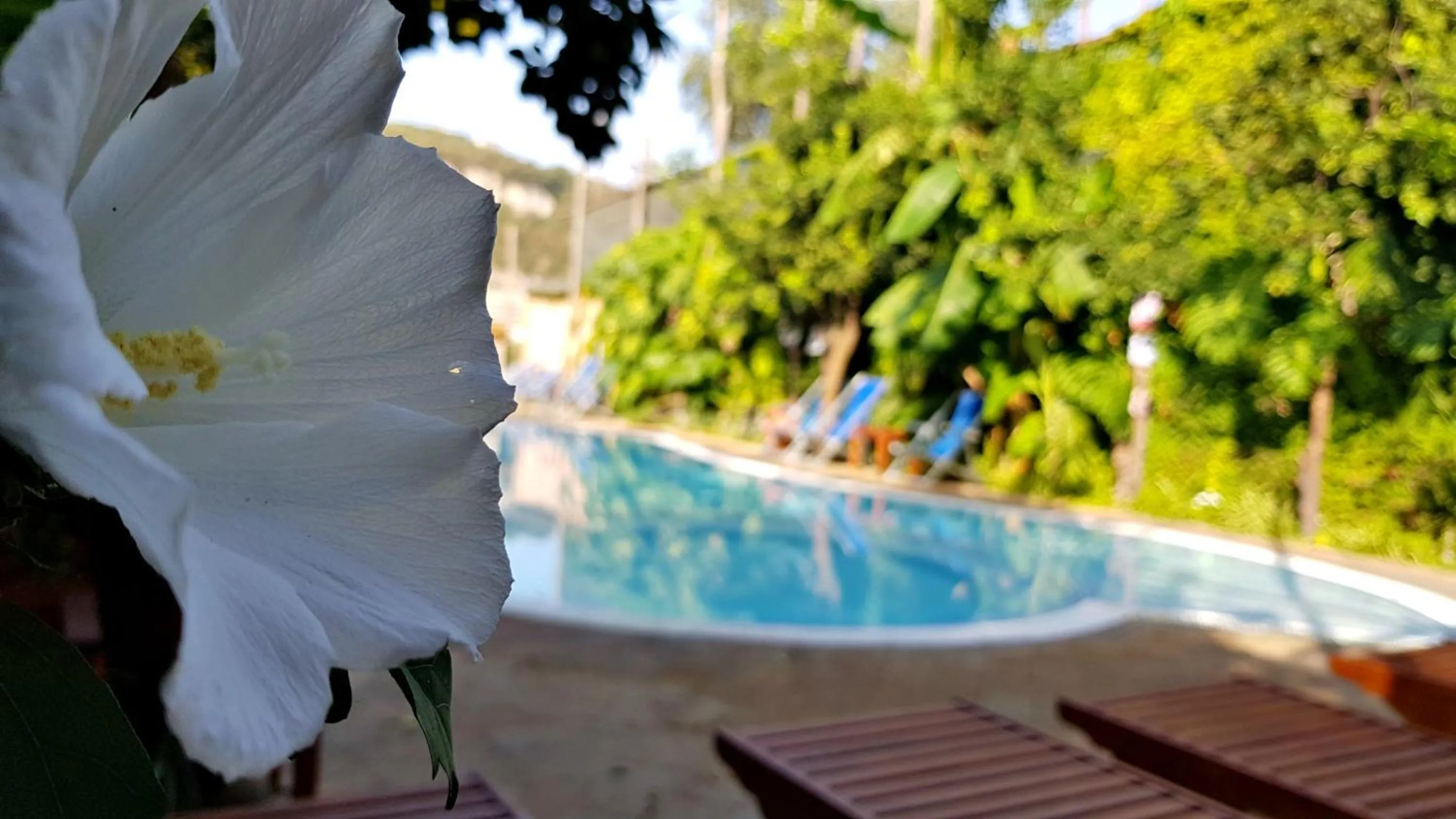 Swimming pool in Residence Villaggio Verde
