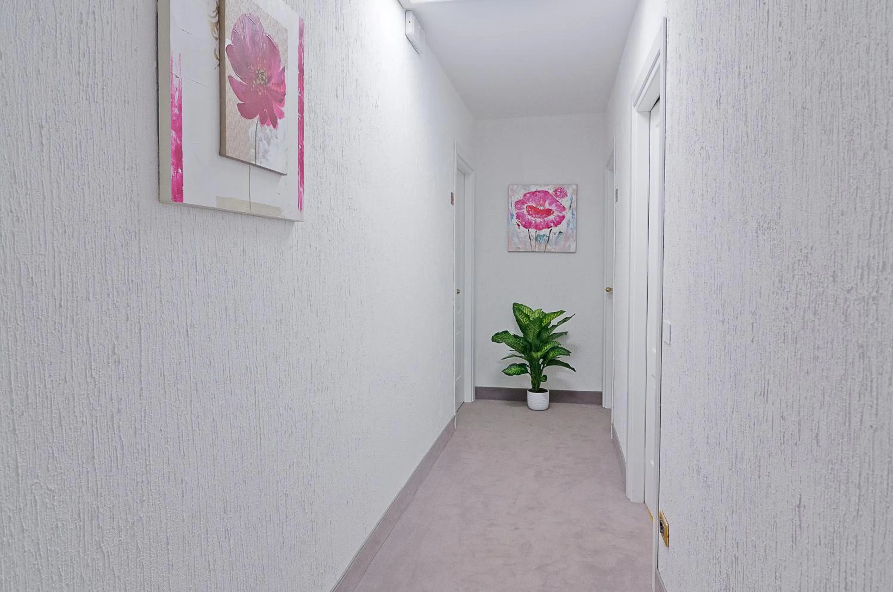 Area and facilities in Hotel Ariston Montecarlo