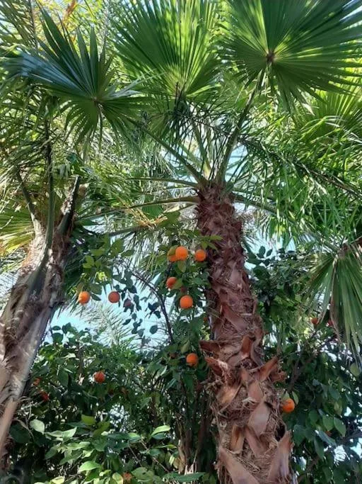 Natural landscape in Weedan Hôtel Marrakech