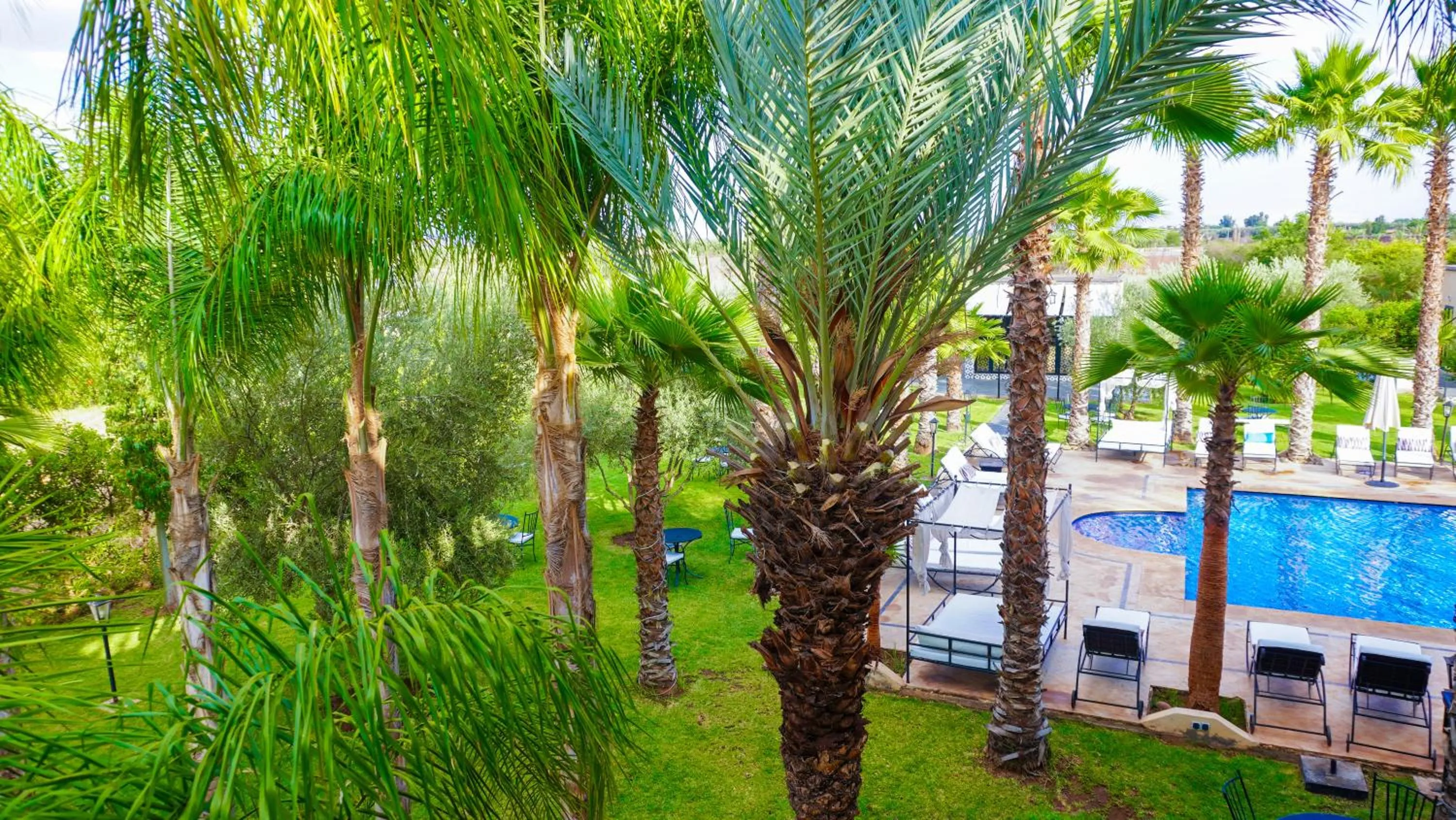 Garden view in Weedan Hôtel Marrakech