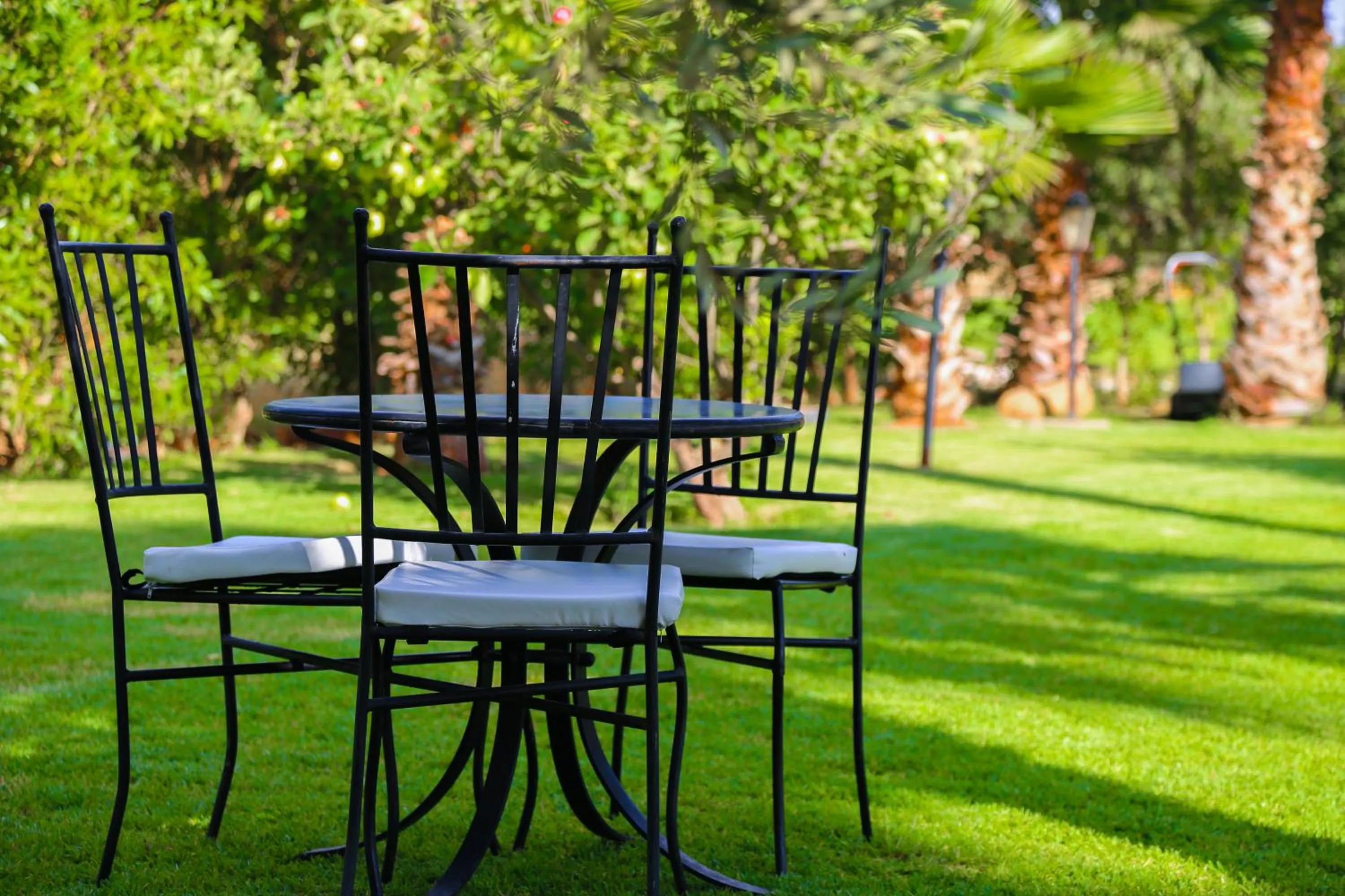 Natural landscape in Weedan Hôtel Marrakech