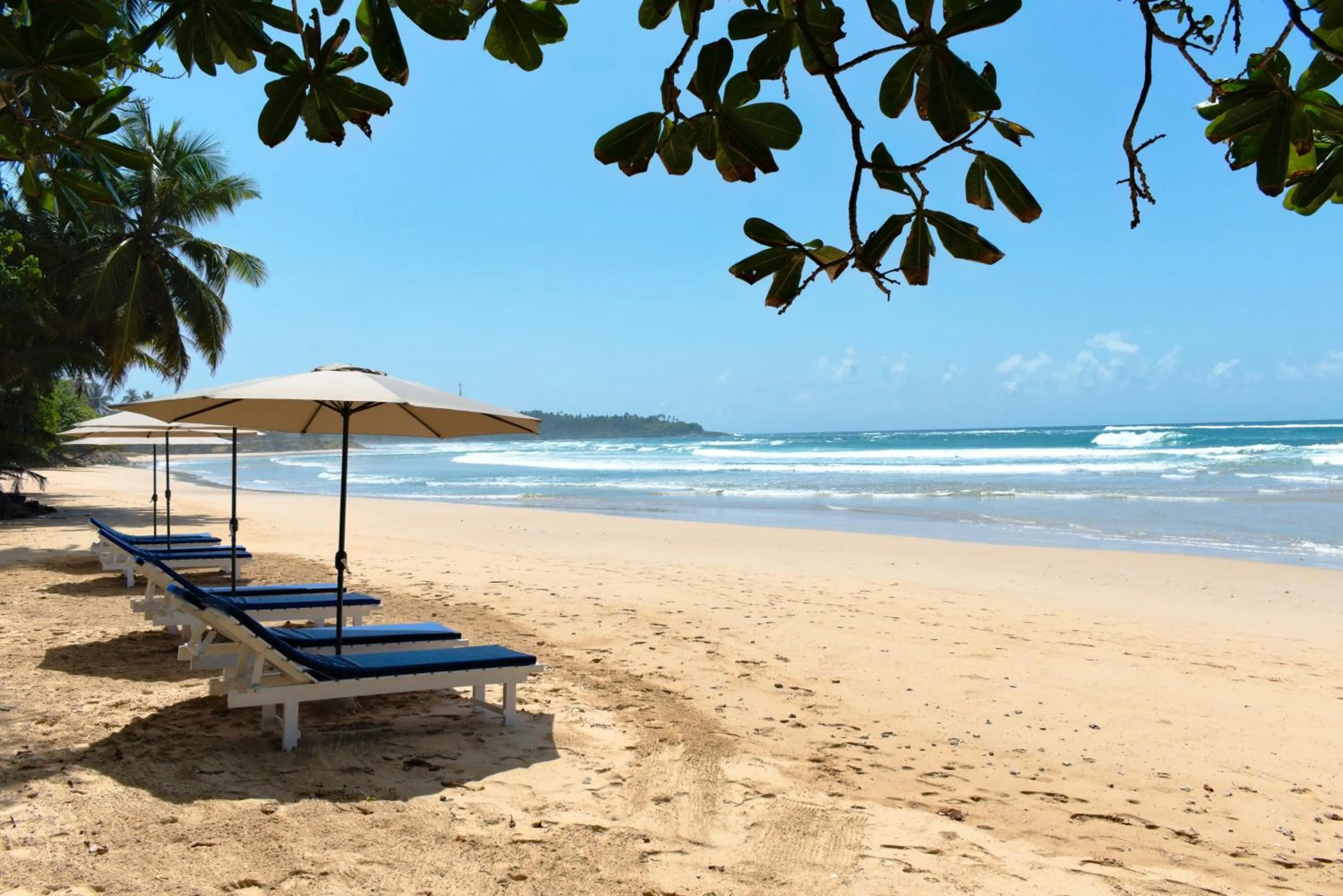 Beach in Smeralda Resorts Dikwella