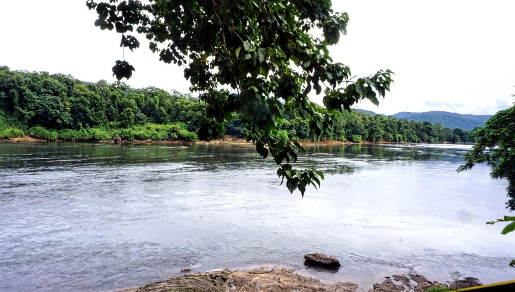 Natural landscape in Vajra Ayurveda and Yoga Retreat