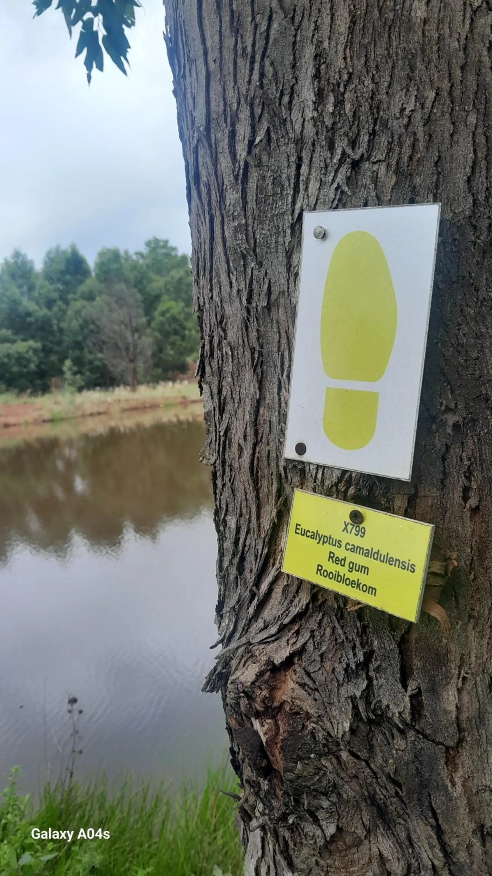 Harnham Mountain Lodge