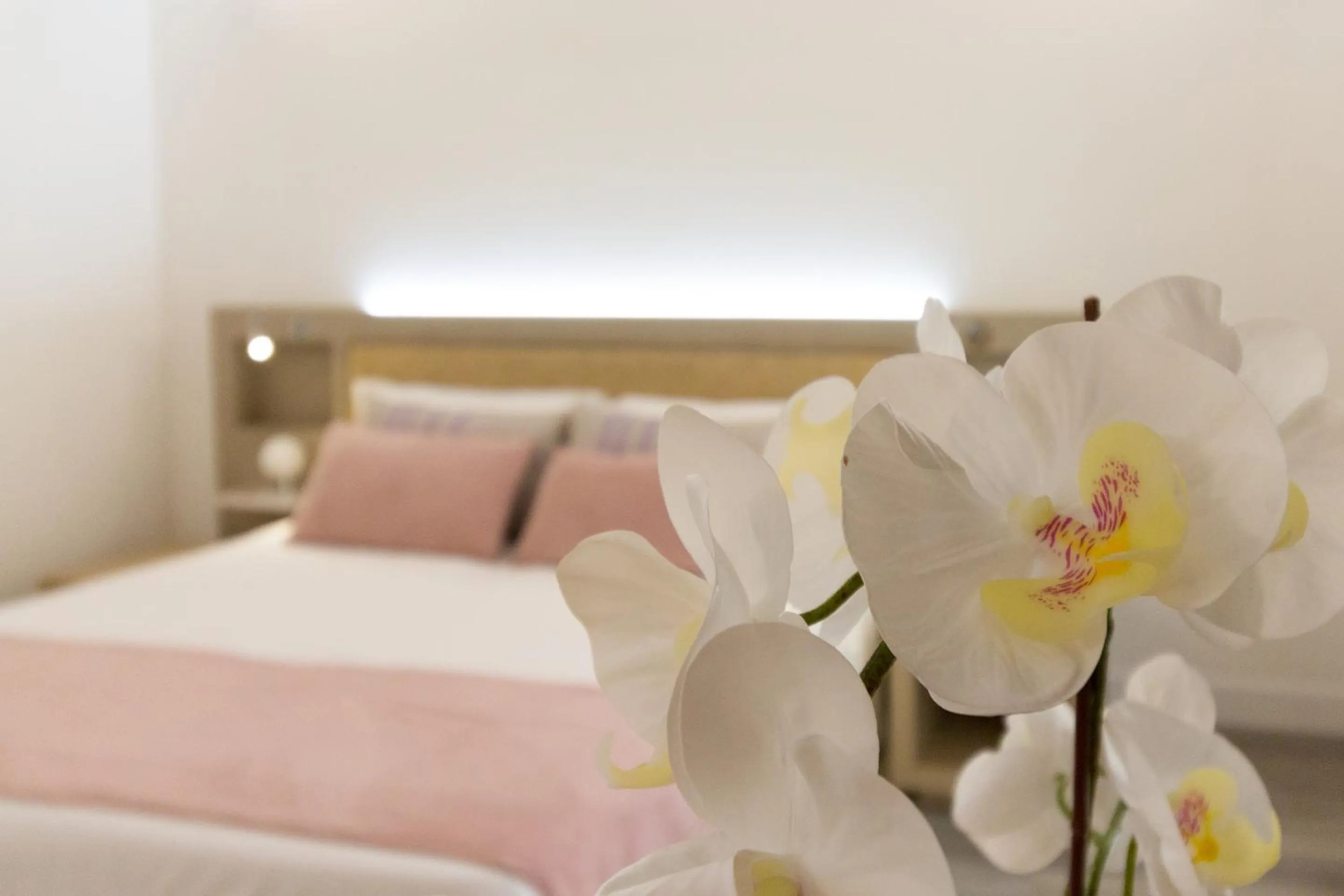 Photo of the whole room, Bed in Hotel Italia