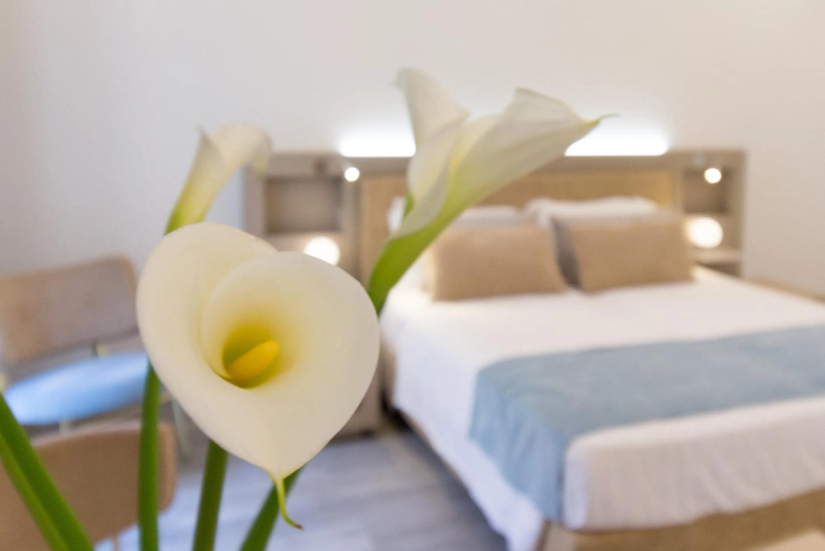 Photo of the whole room, Bed in Hotel Italia