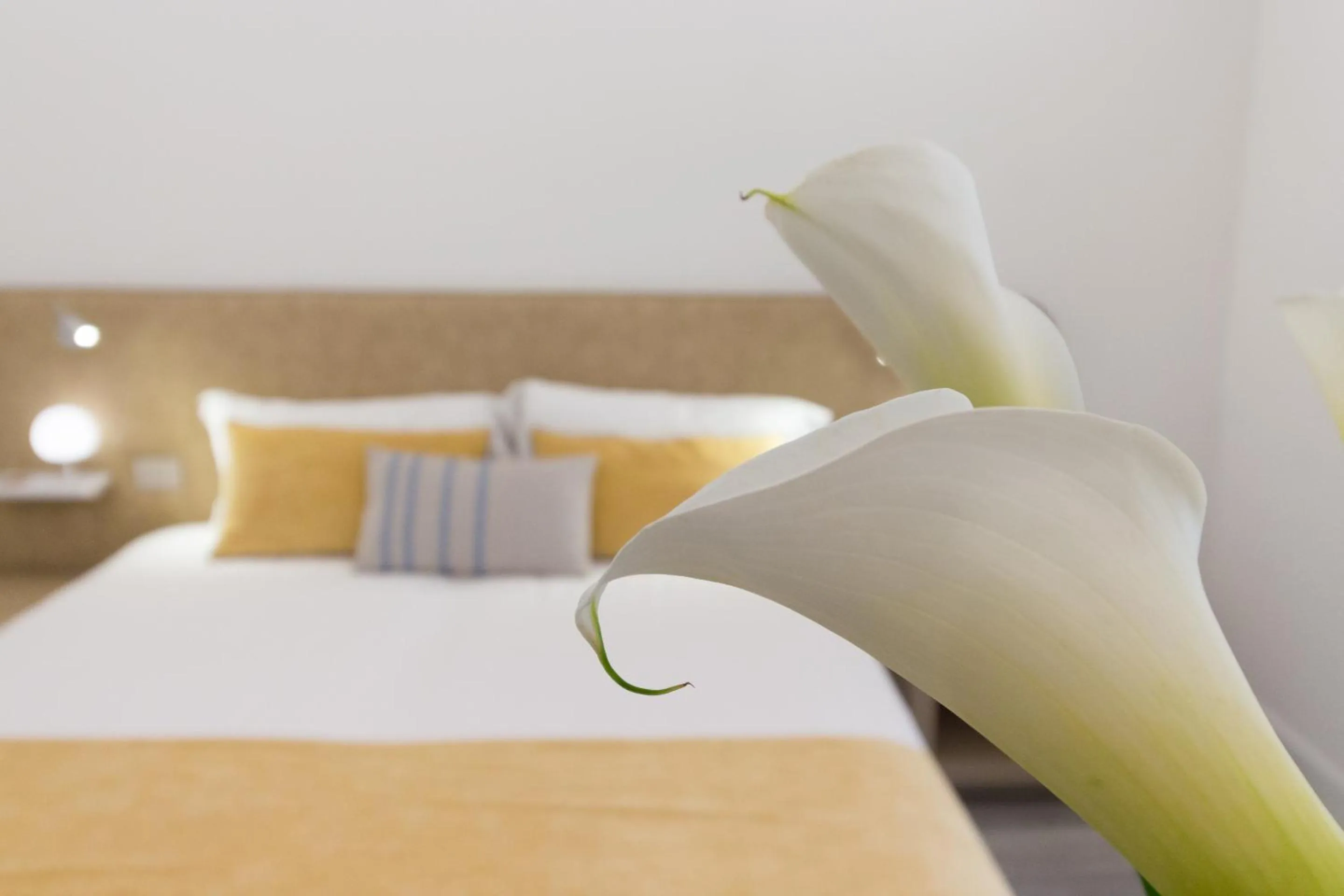 Photo of the whole room, Bed in Hotel Italia