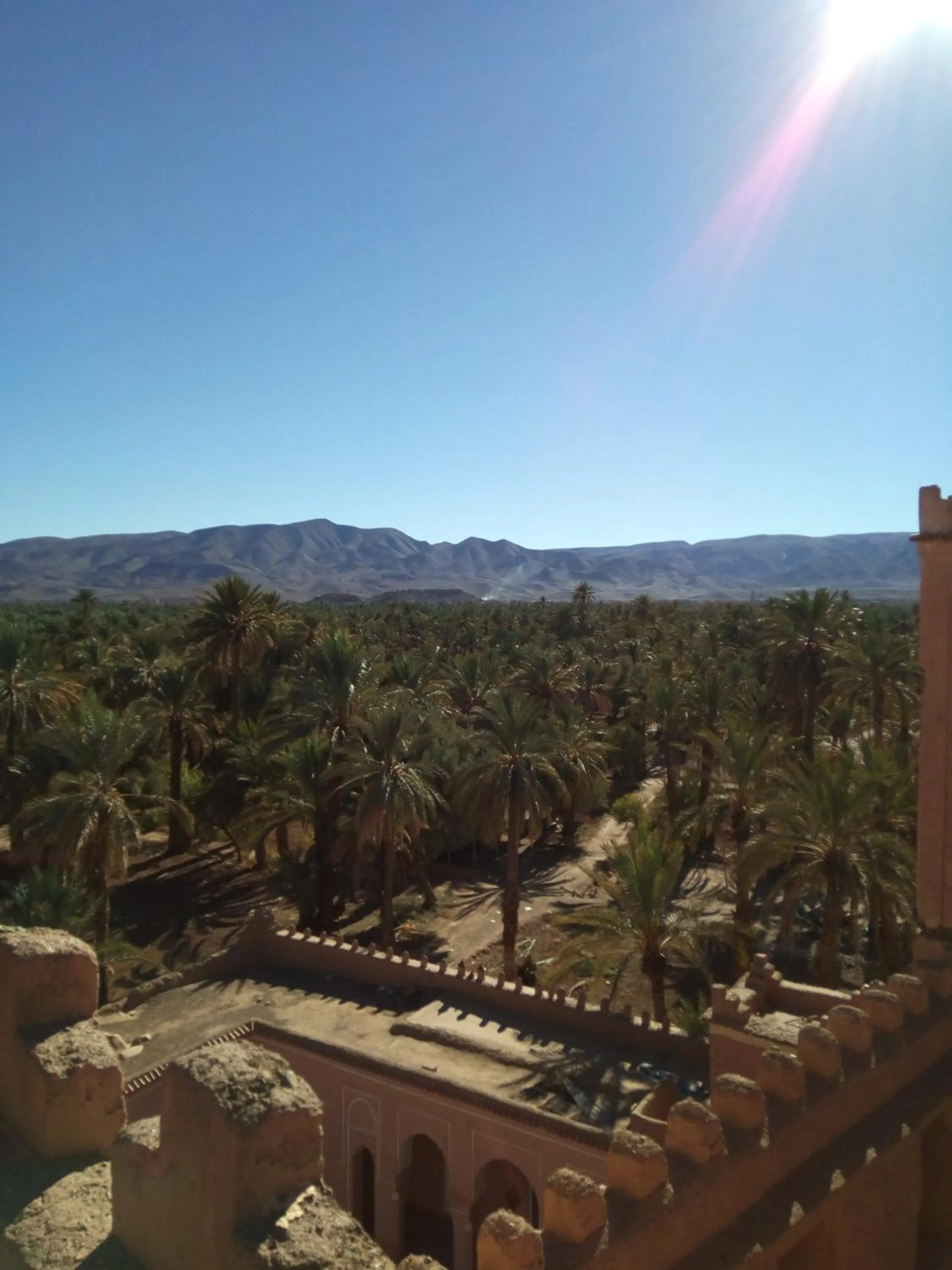 Garden view in Dar Amazir