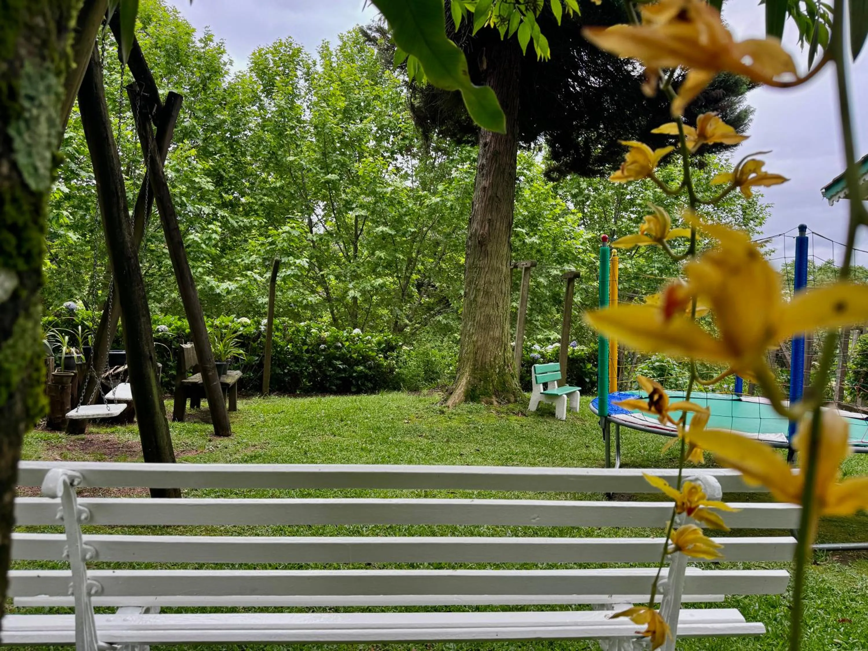 Garden view in Hotel Pousada Ald' Mama