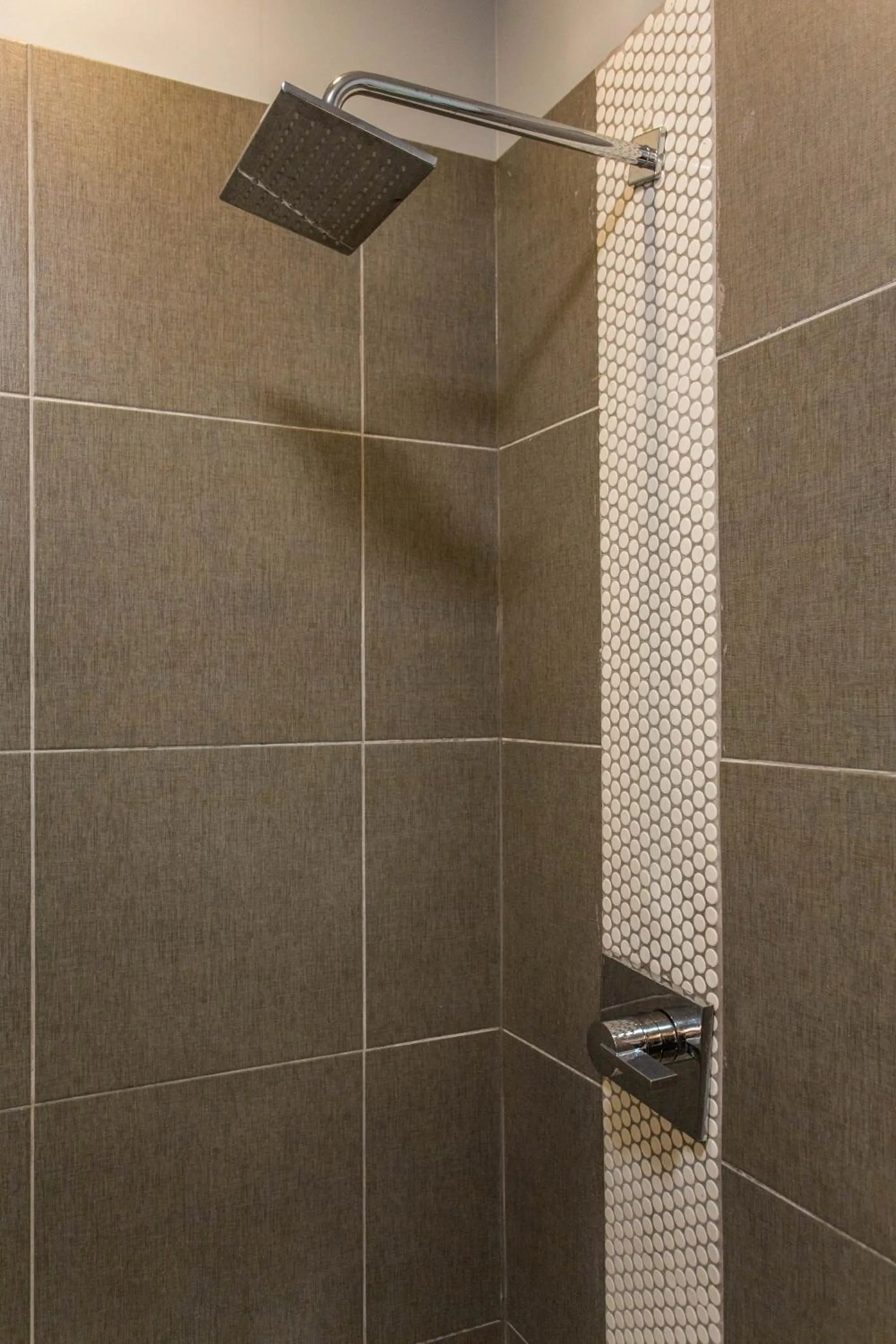 Shower in McCormick Place Guest House