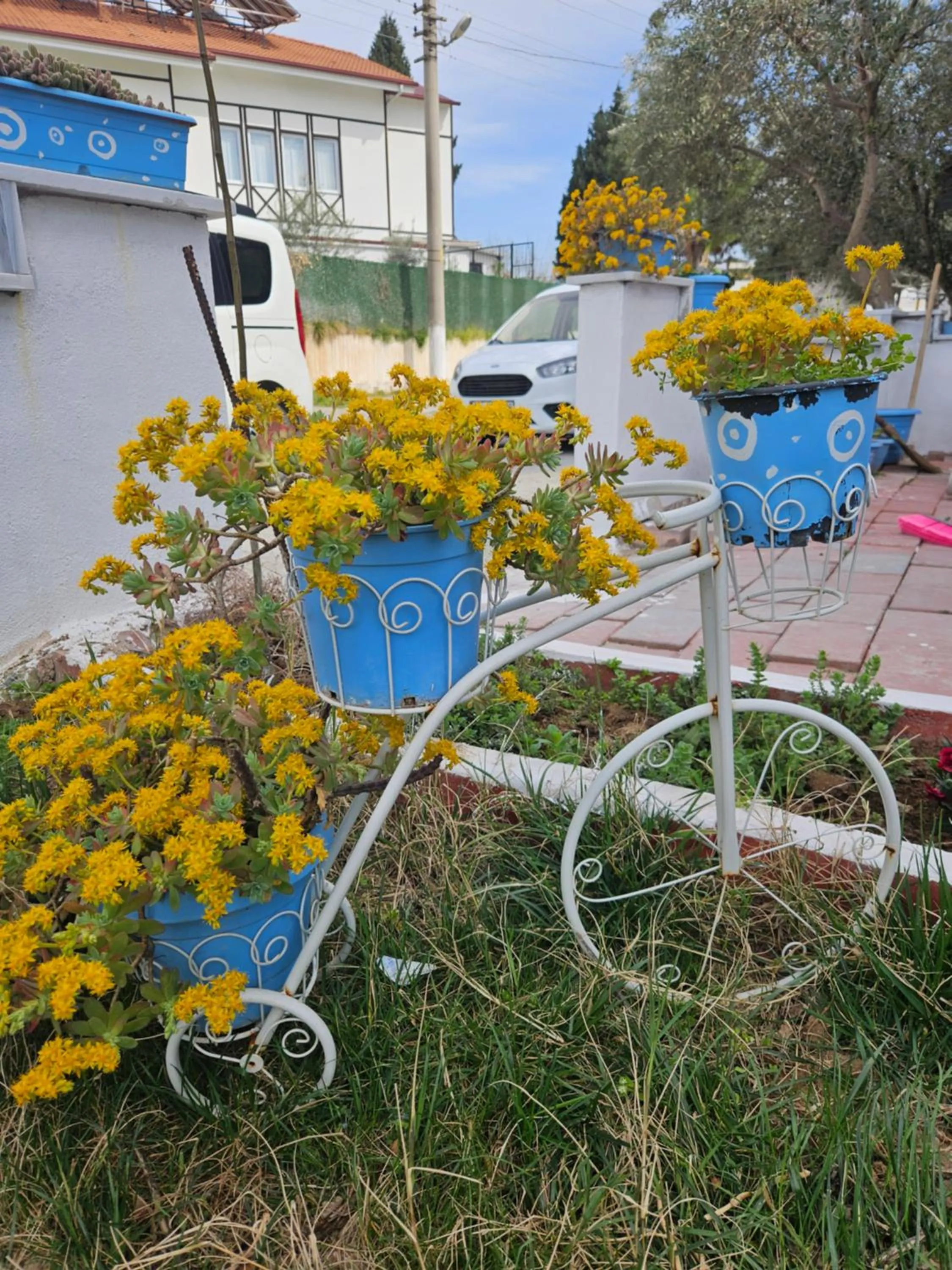 Day in The Titanic House