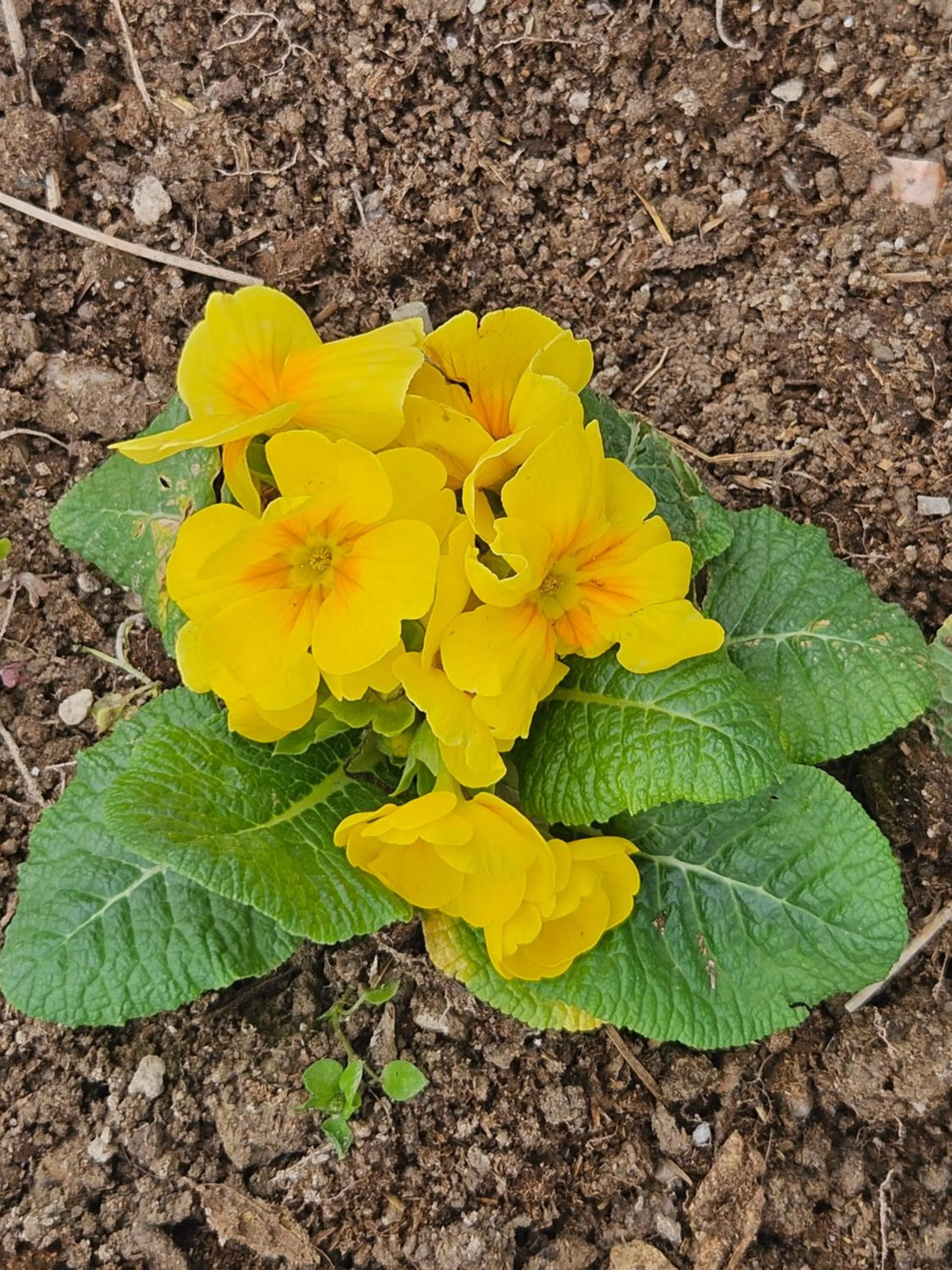 Day in The Titanic House