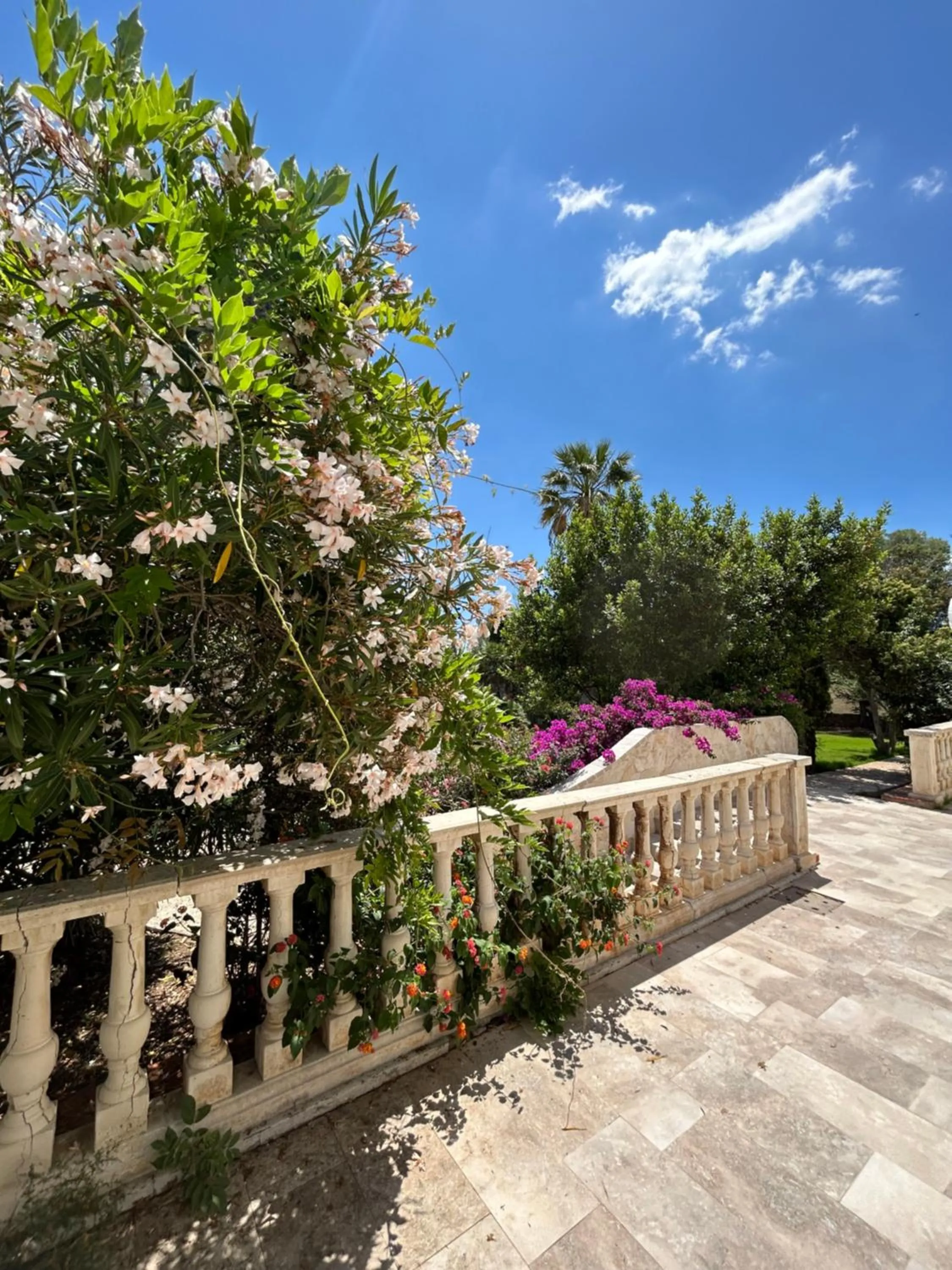 Balcony/Terrace in Villa Cavalieri Country Hotel