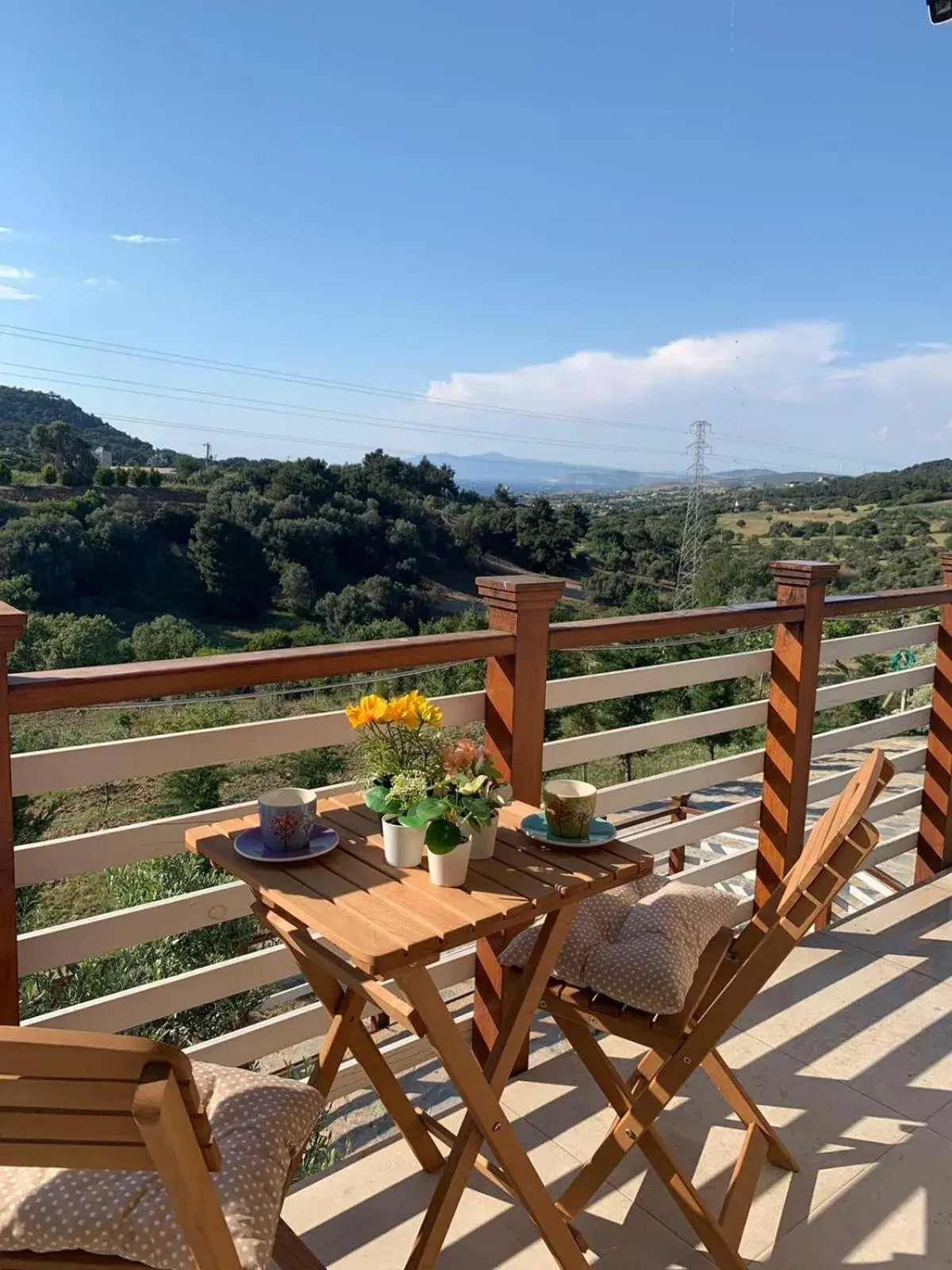 GAIA Kozbeyli GAIA Kozbeyli