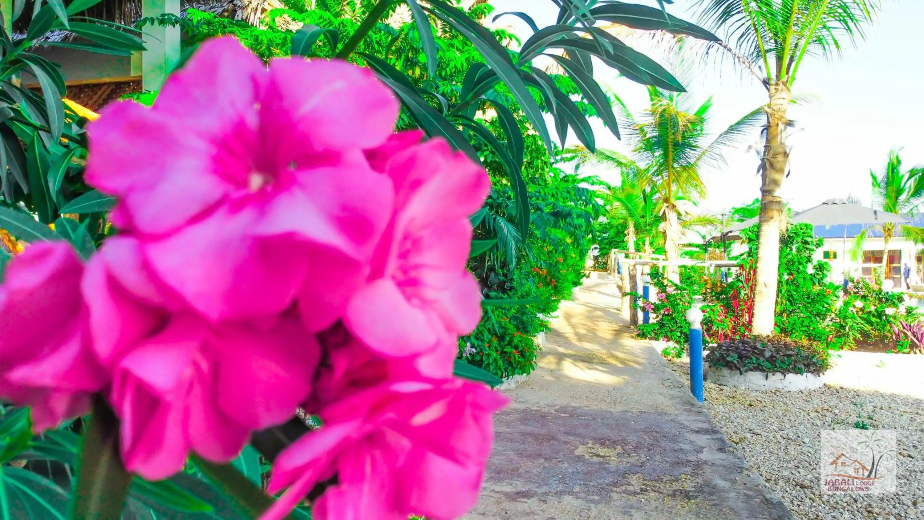 Garden view in Jabali Bungalows Lodge