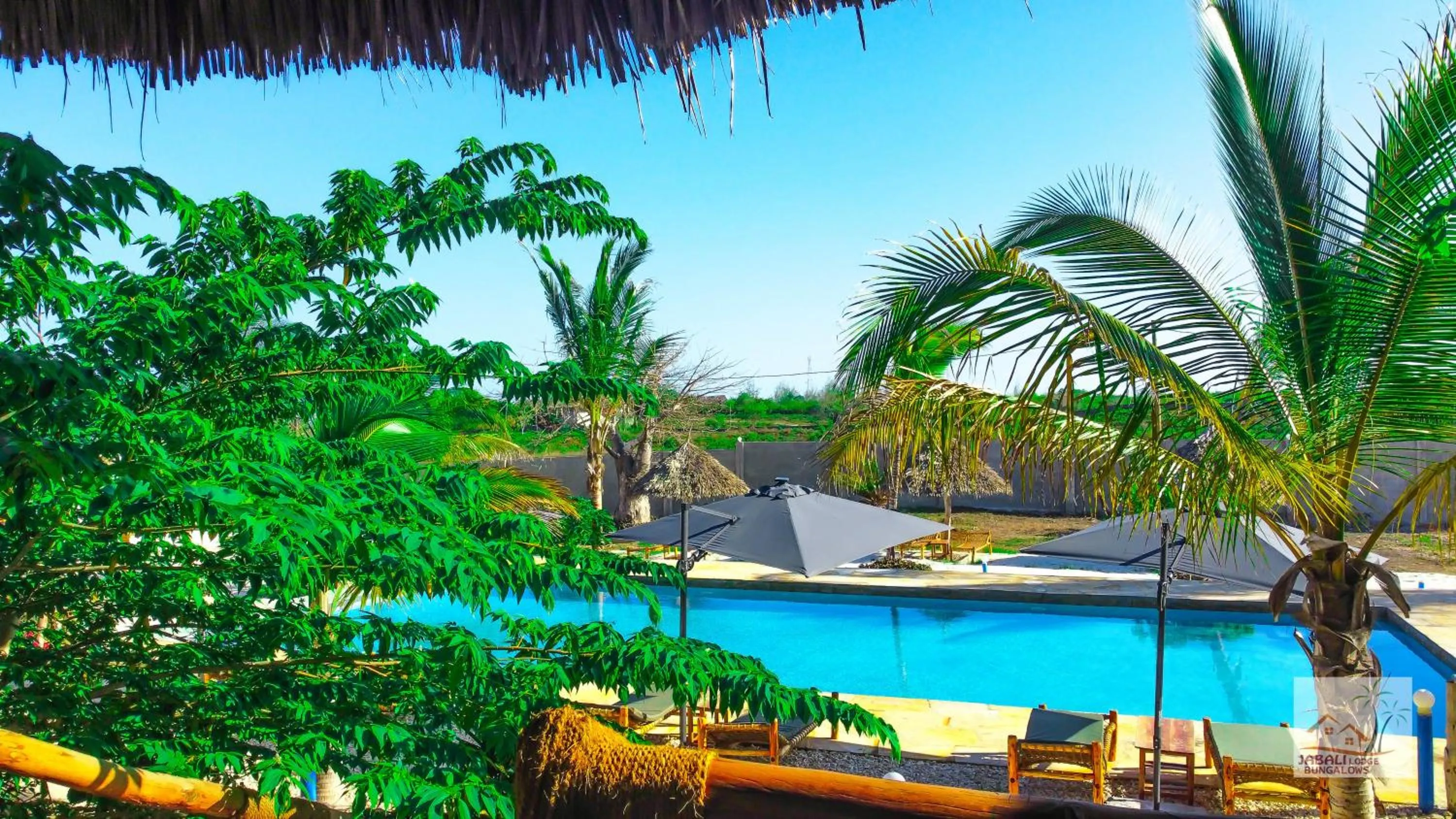 View (from property/room) in Jabali Bungalows Lodge