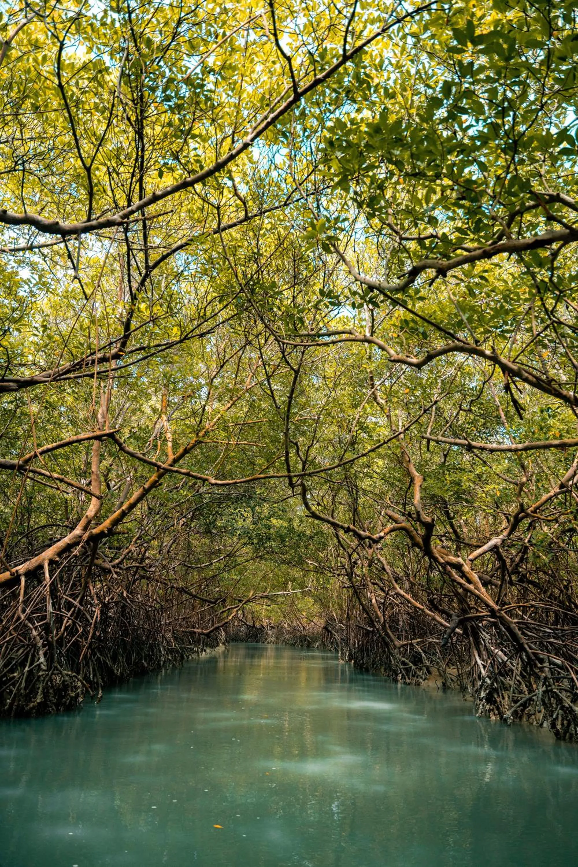 Property building in Hotel Icaraí Beach