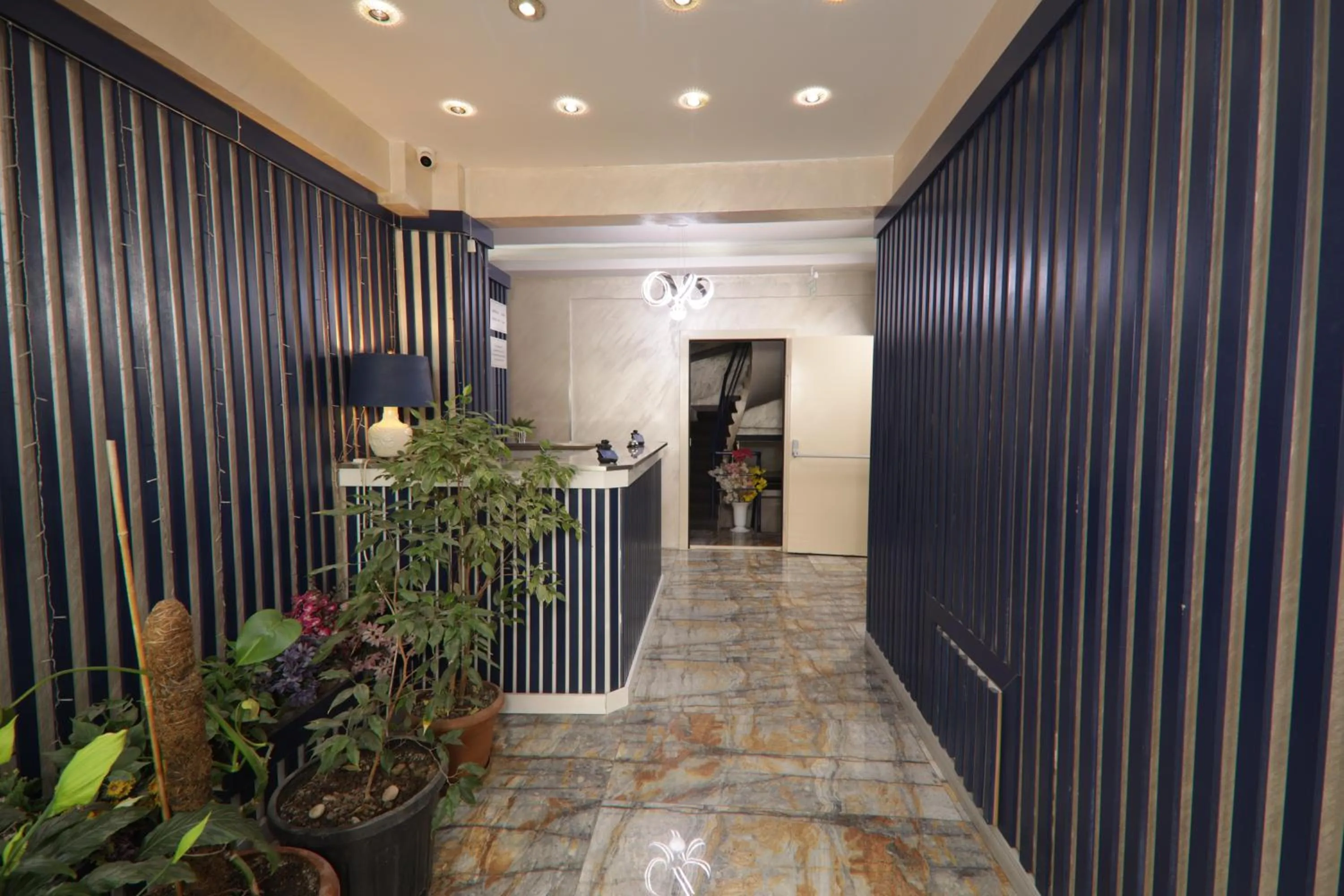 Lobby or reception in BALPETEK HOTEL