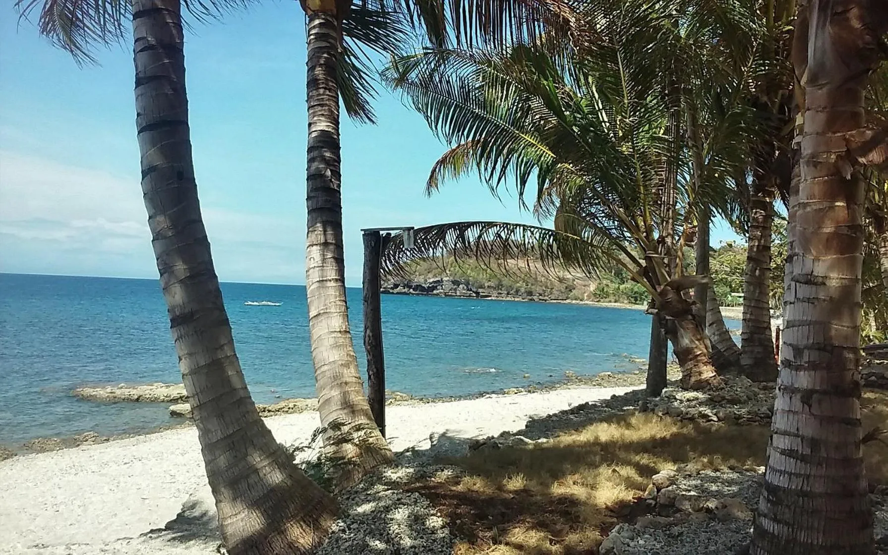 Natural landscape in Lazi Beach Club Resort