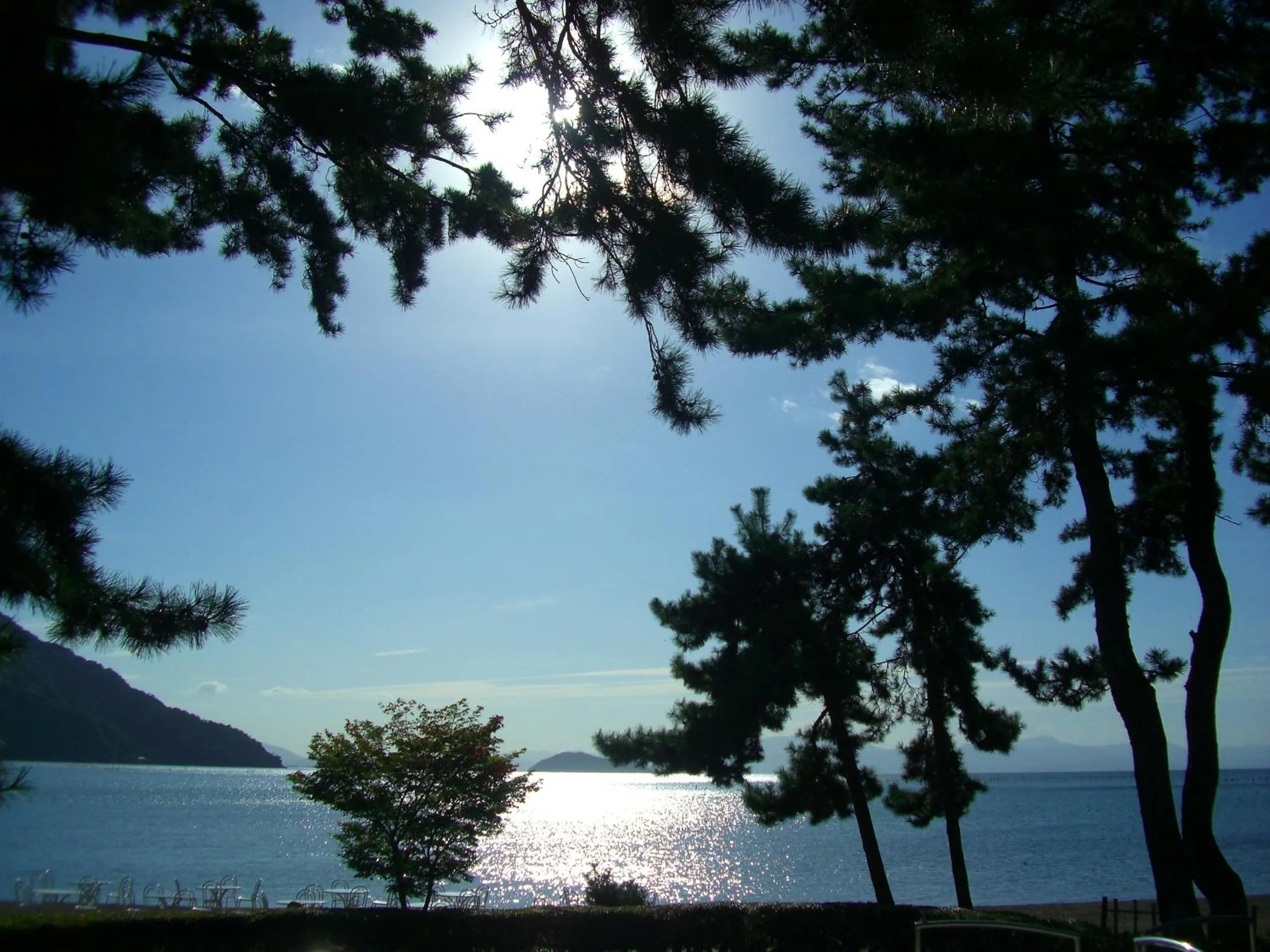 Other in Grand Park Hotel Okubiwako Makino