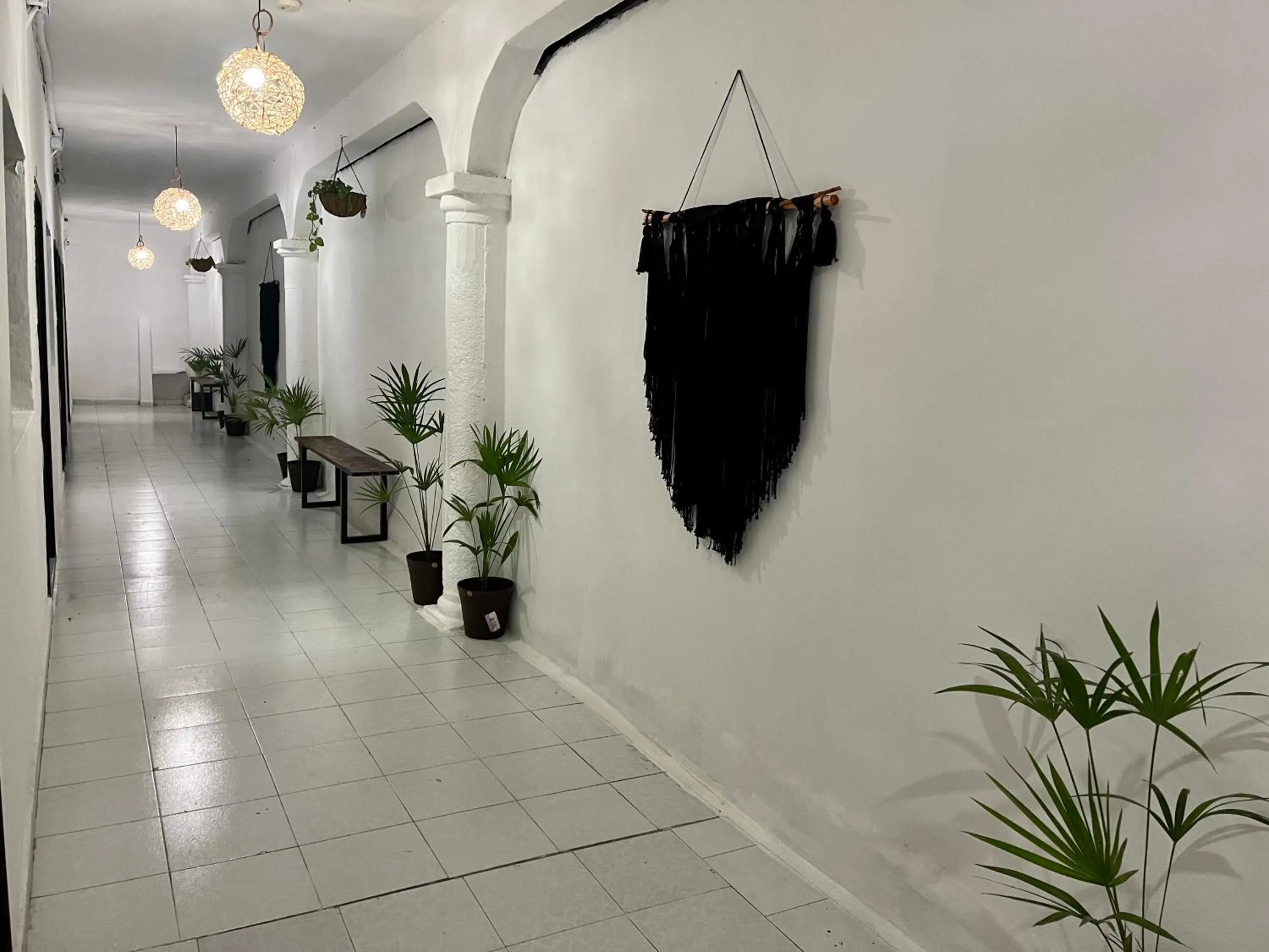 Lobby or reception in BALAM Playa - 15Th Ave