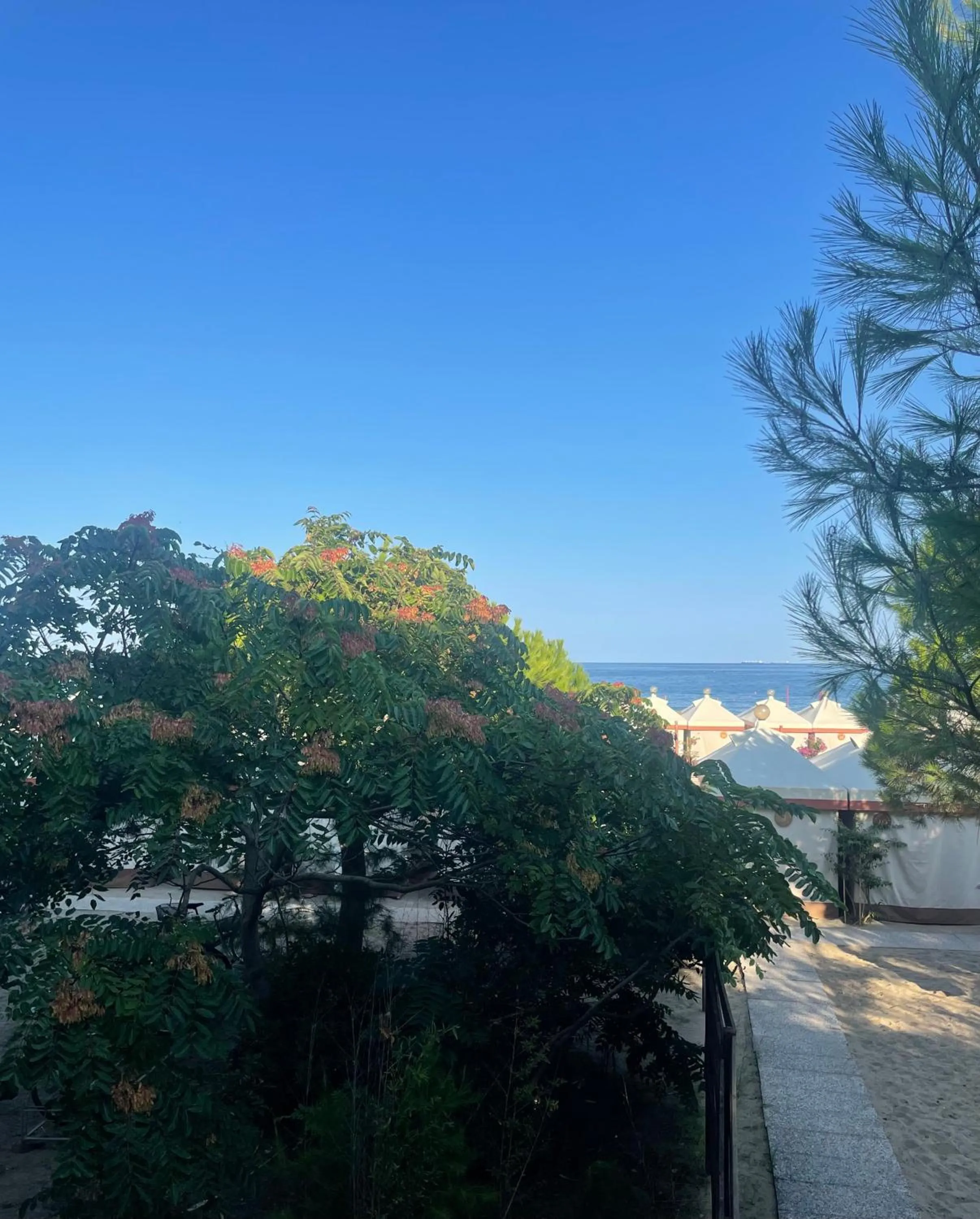 View (from property/room) in Hotel Petit Palais