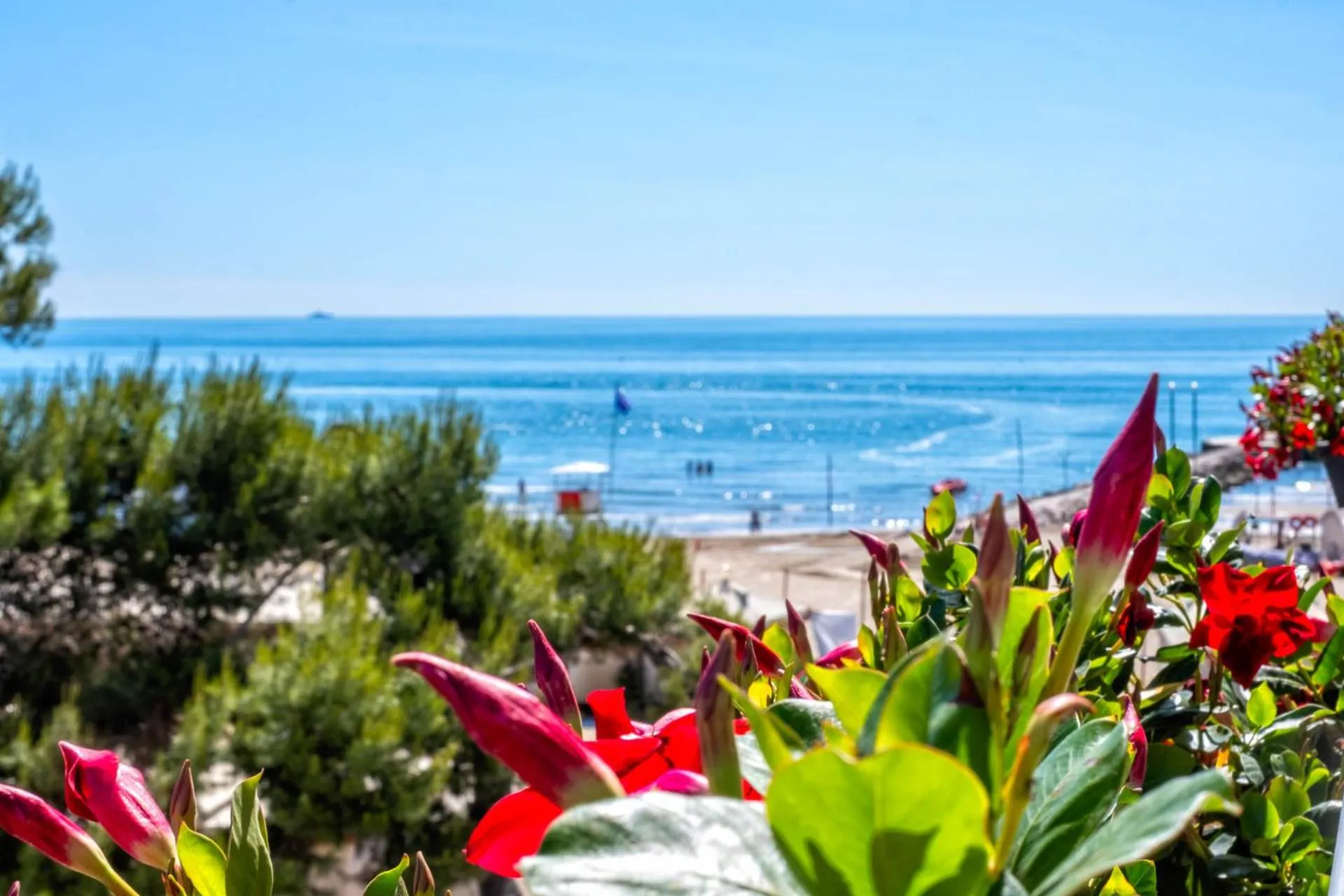Balcony/Terrace in Hotel Petit Palais