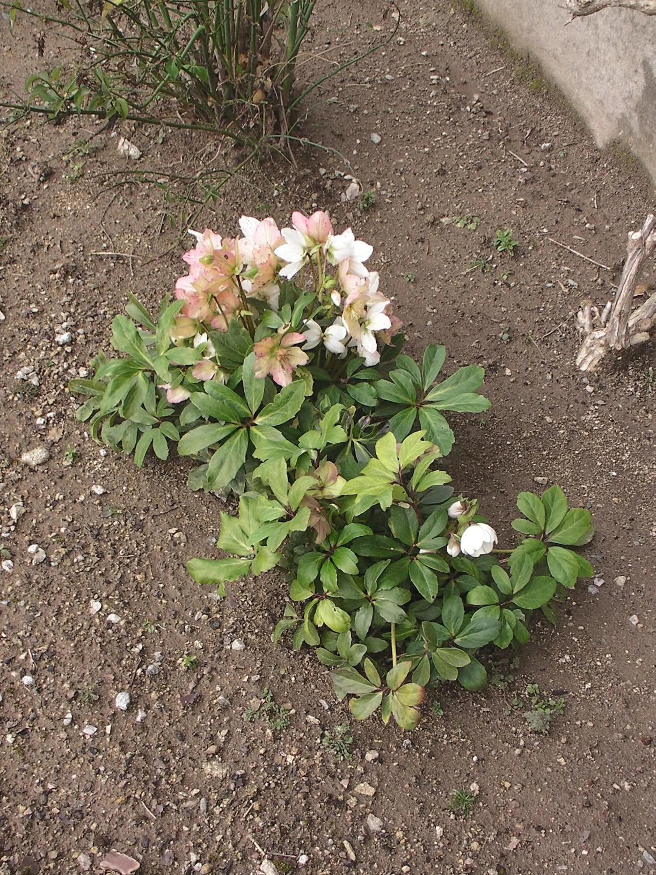 Other in Maison Chabrat