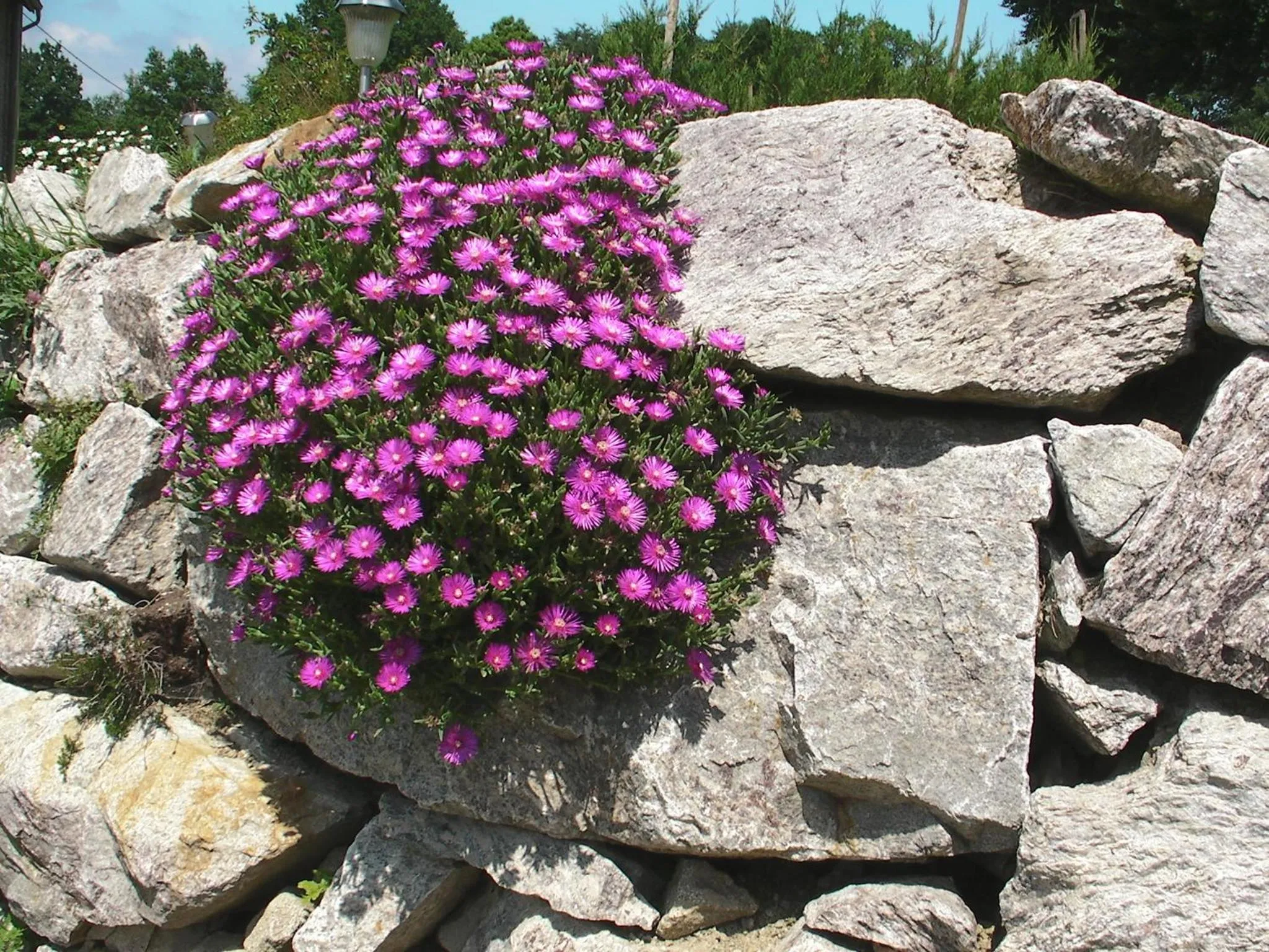 Property building in Maison Chabrat