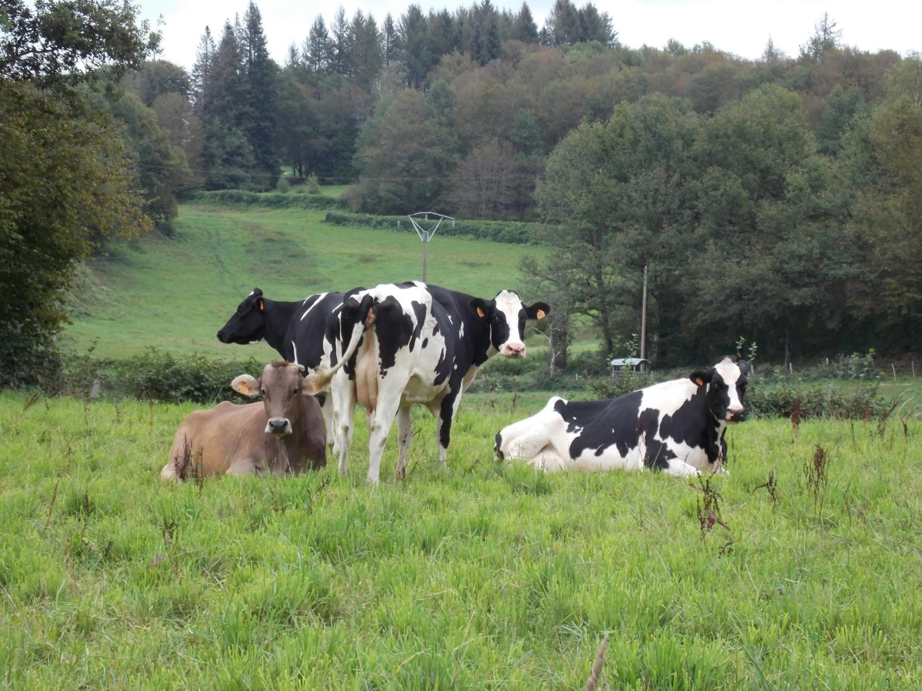 Neighbourhood in Maison Chabrat