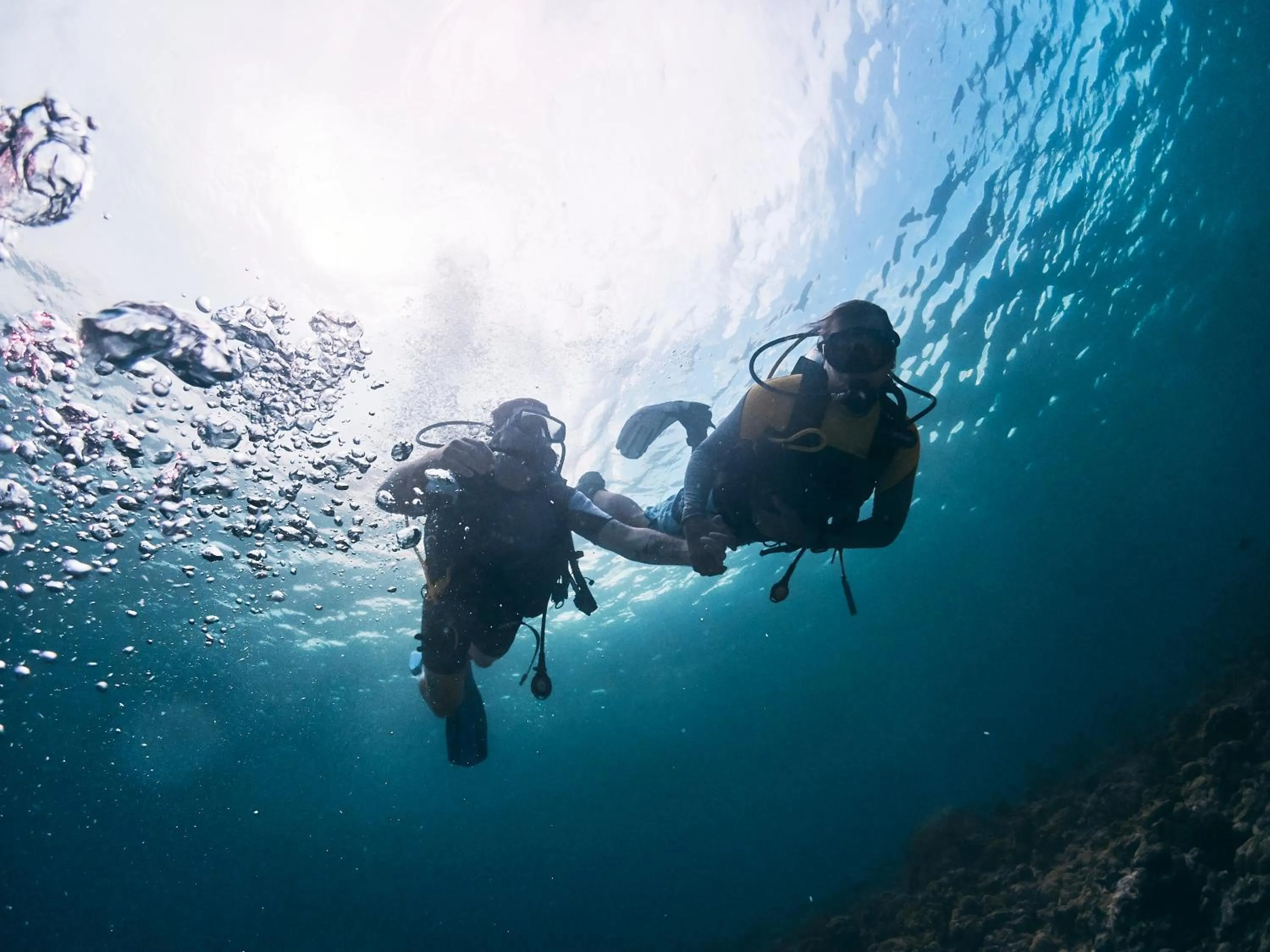 Diving in Sun Siyam Iru Fushi with Free Transfer