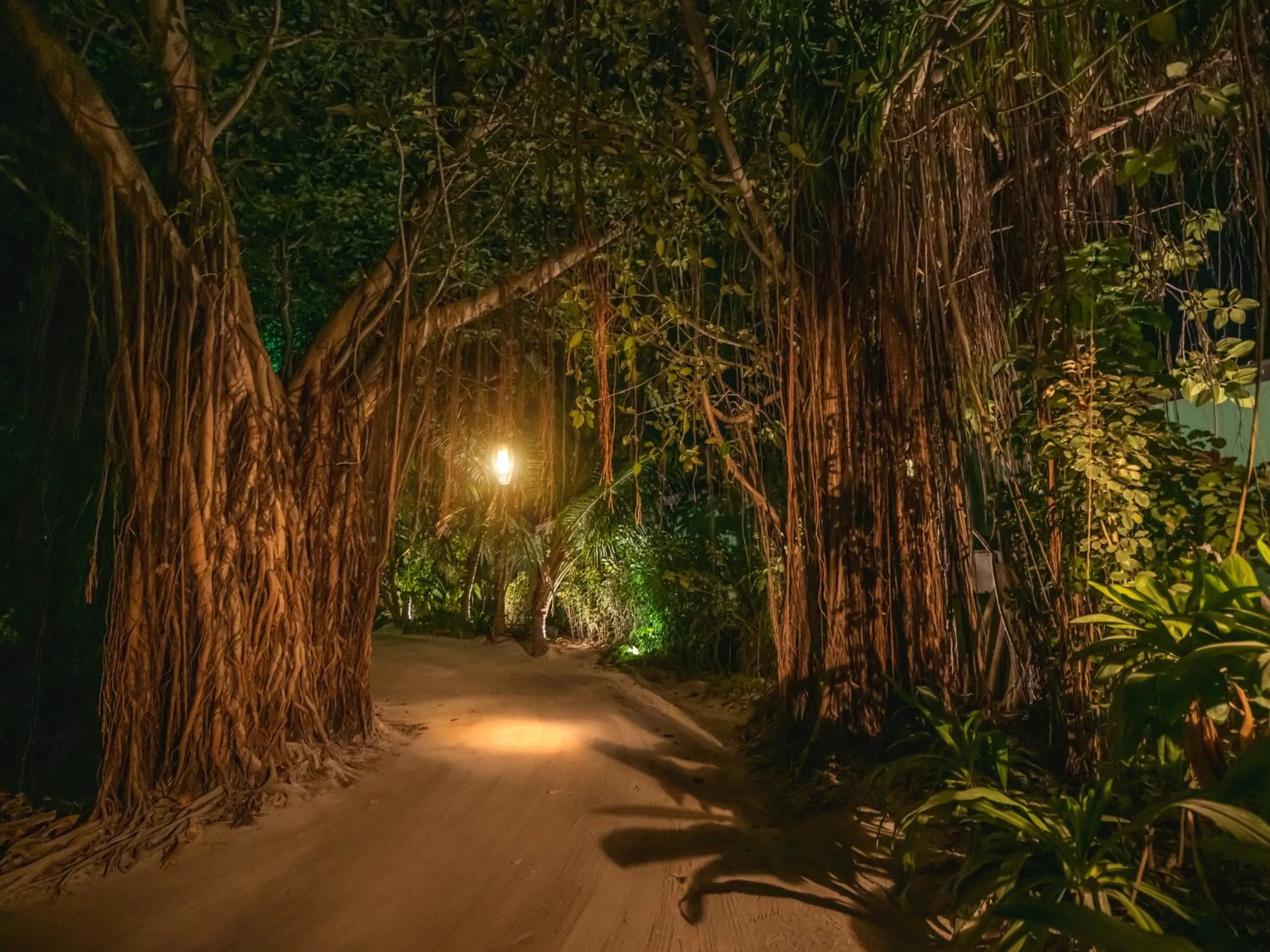 Property building in Sun Siyam Iru Fushi with Free Transfer