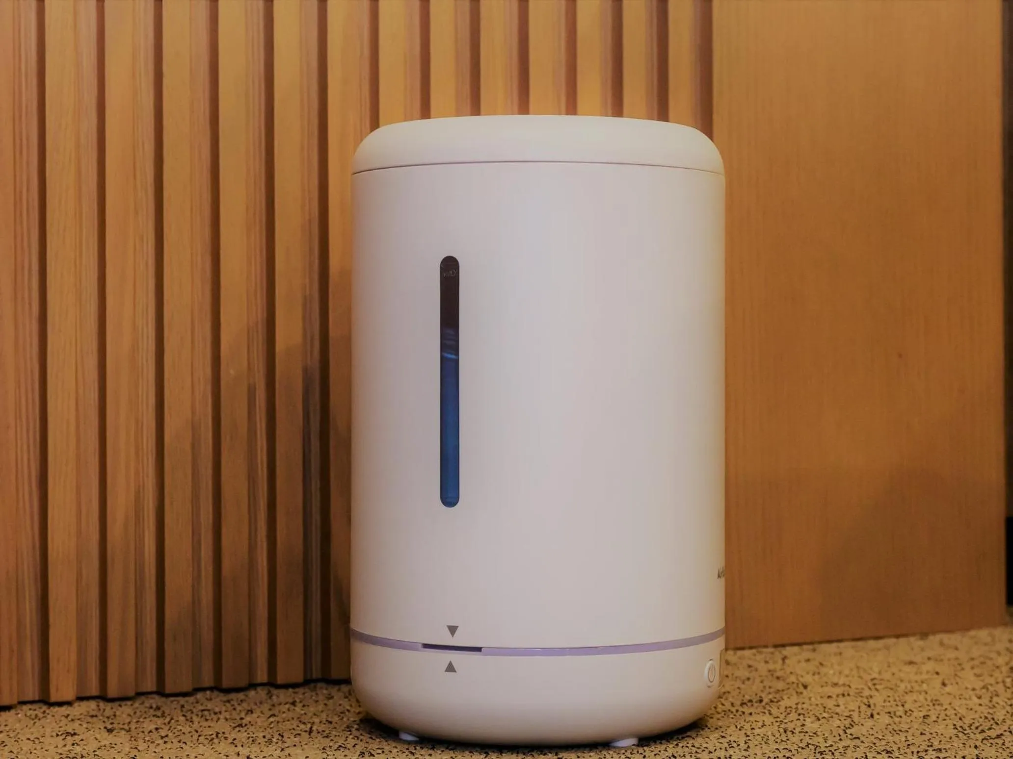 Hotel Tsu Center Palace