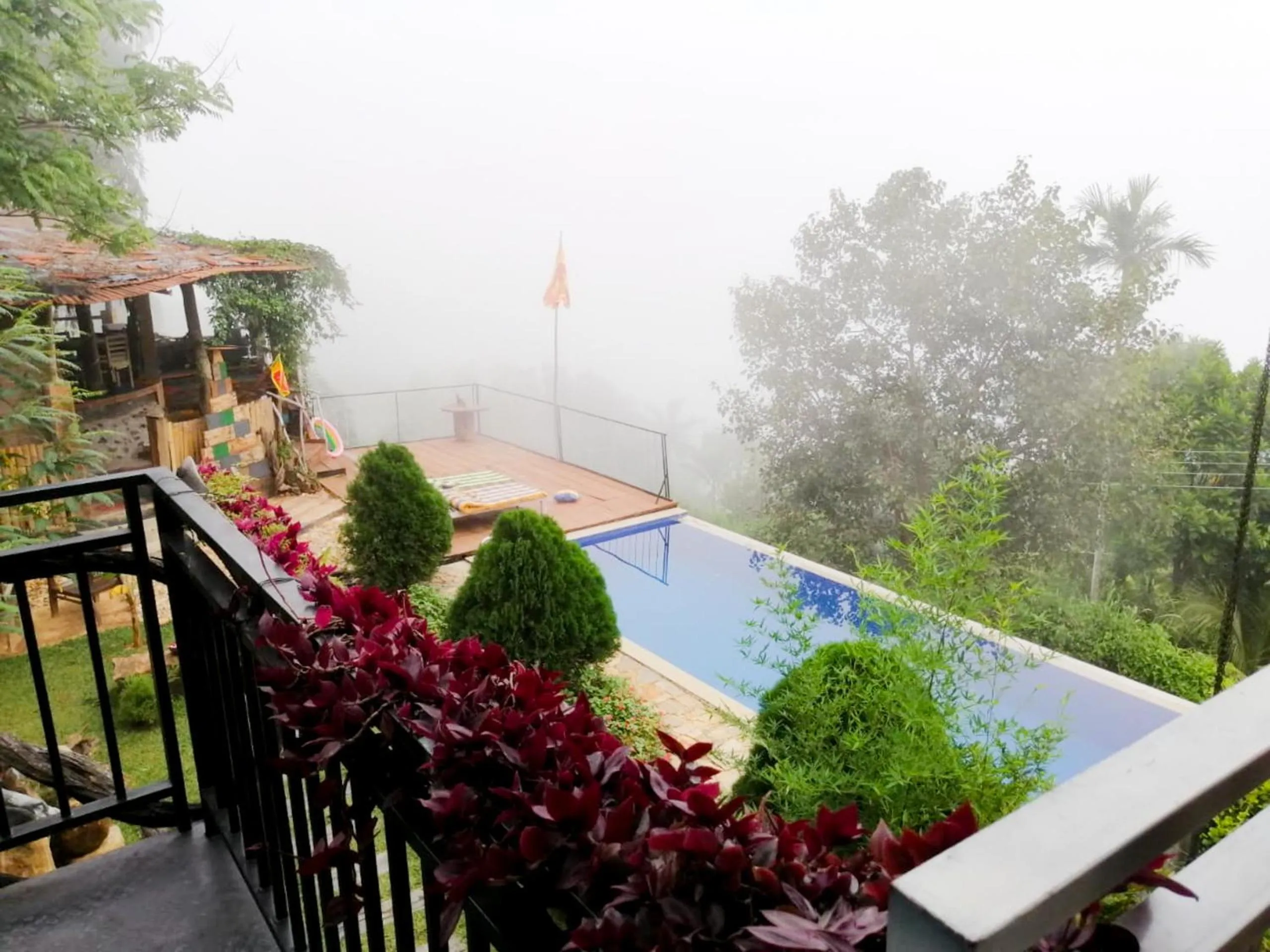 View (from property/room) in Awesome Place