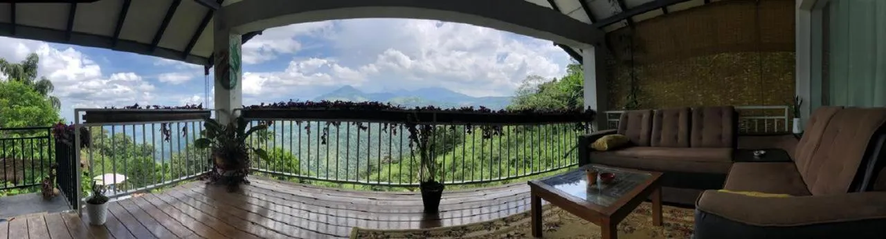 View (from property/room) in Awesome Place