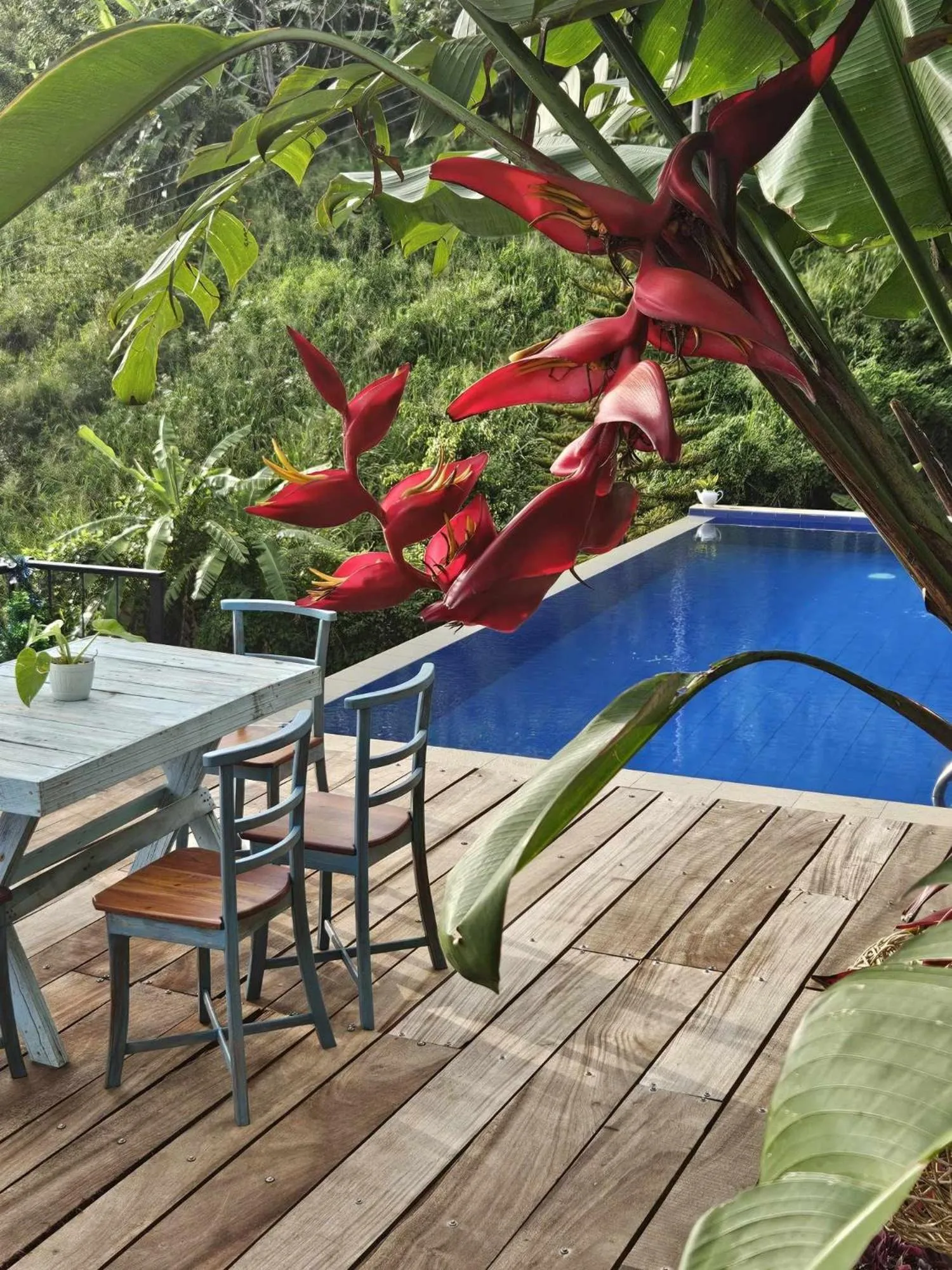 Pool view in Awesome Place