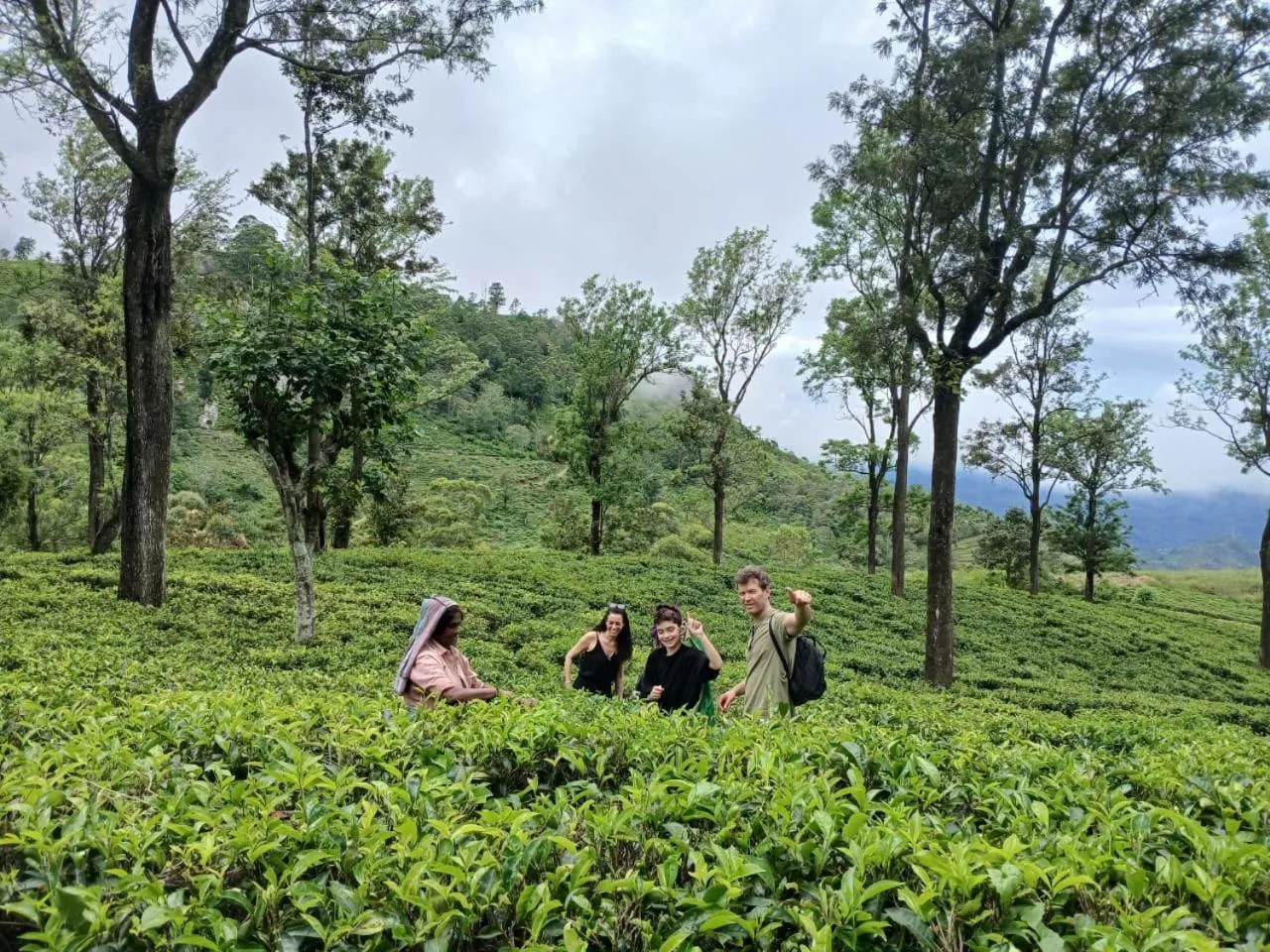 Activities in Awesome Place