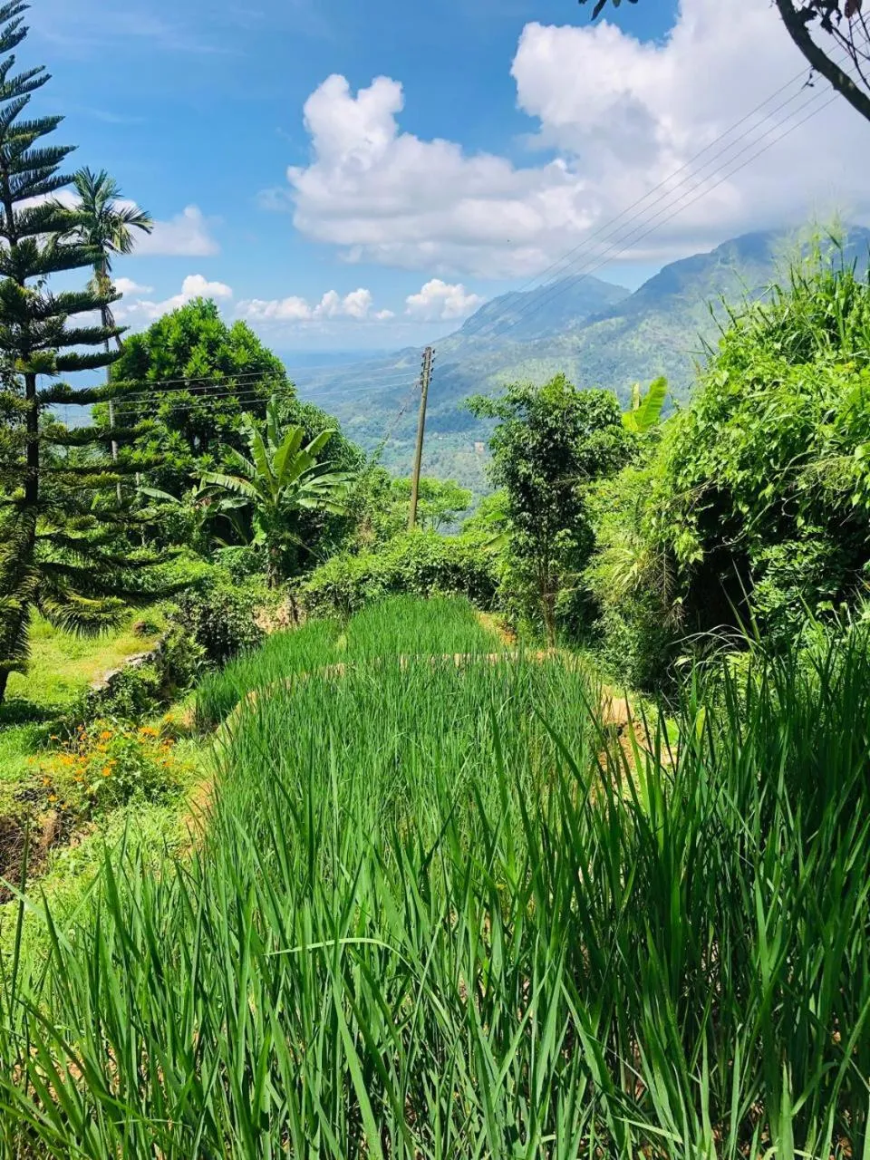 Natural landscape in Awesome Place