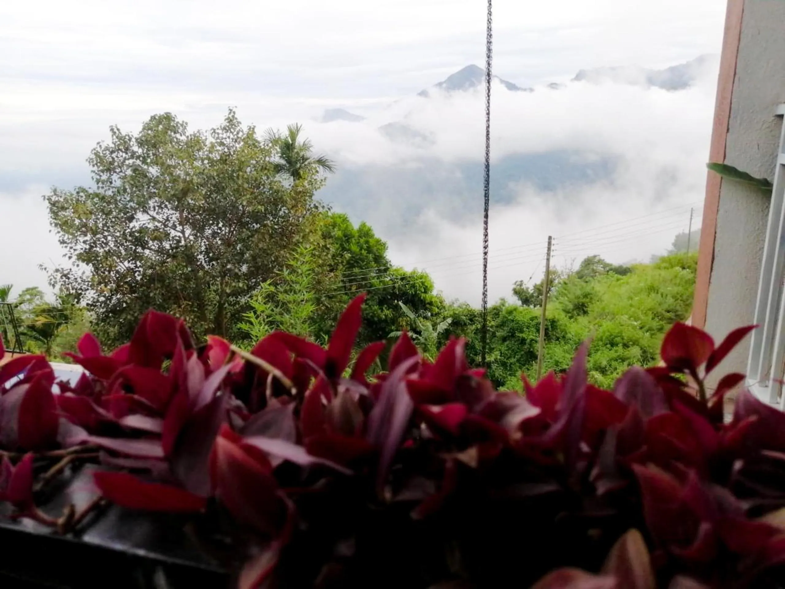 Mountain view in Awesome Place