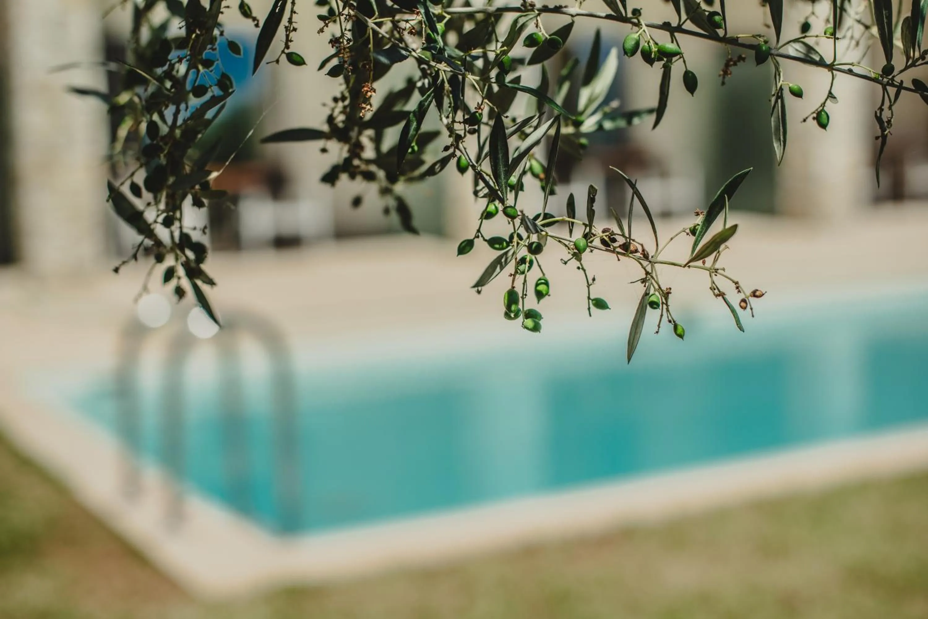 Day in Camvillia Resort Messinia