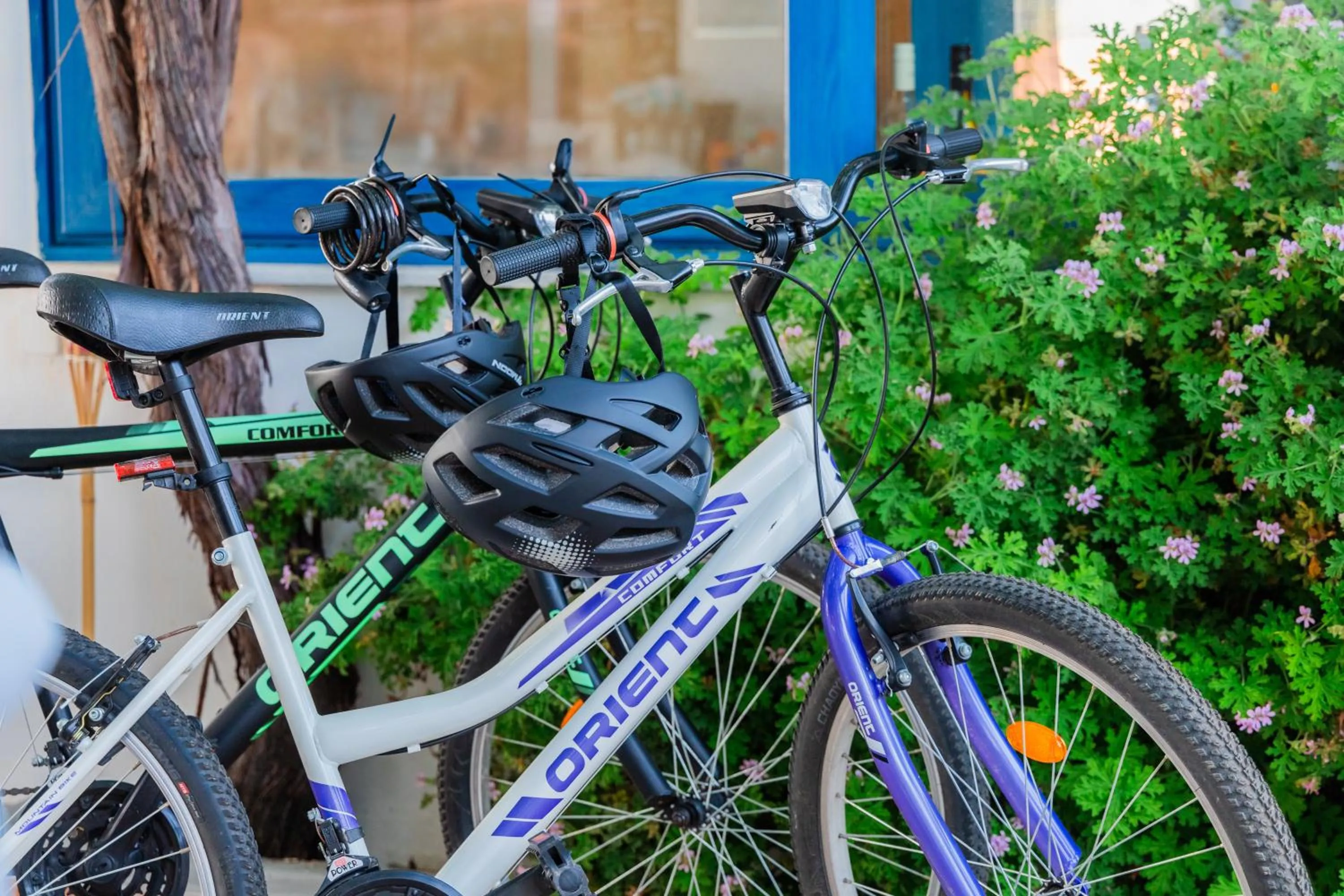 Activities in Sunsea Wellness Resort