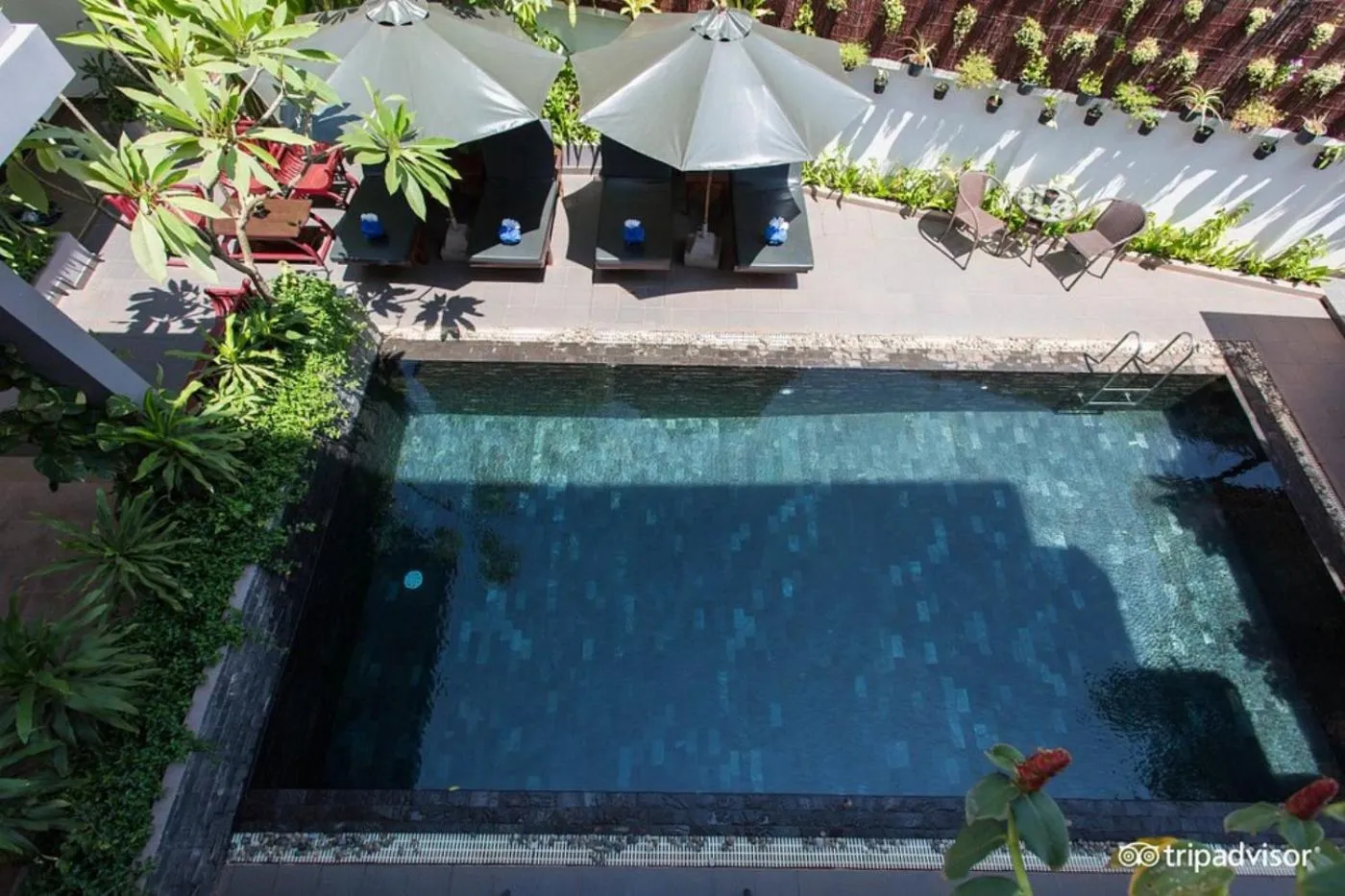 Pool view in Siem Reap Tevi Residence