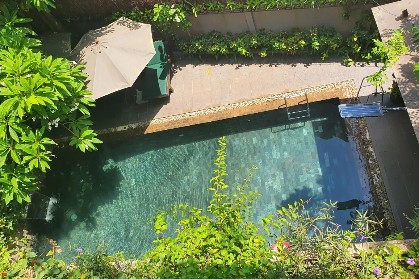 Pool view in Siem Reap Tevi Residence
